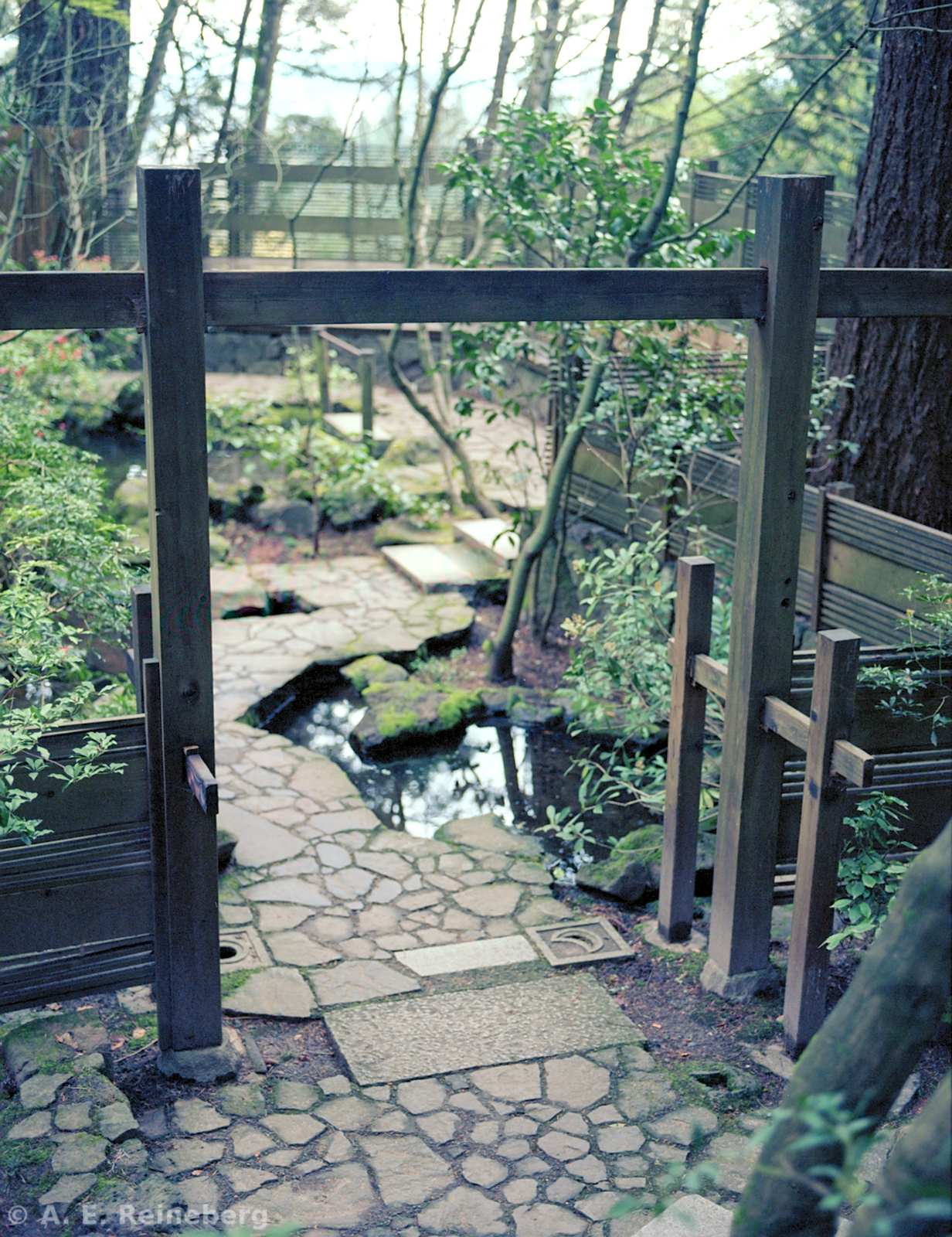 Oregon - Portland Japanese Gardens and other locations