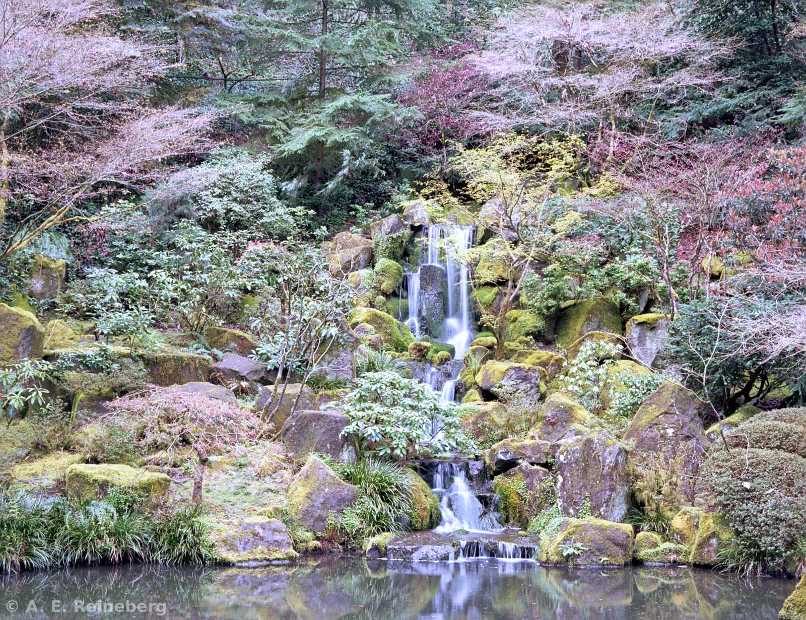 Oregon - Portland Japanese Gardens and other locations