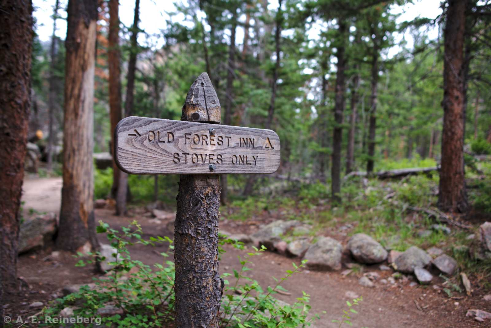 Summer hiking in Rocky Mountain National Park