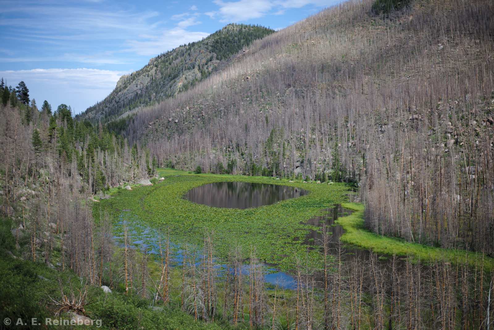 Summer hiking in Rocky Mountain National Park