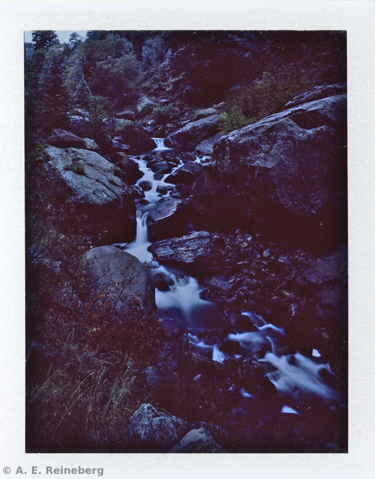 Polaroid project by Andrew Reineberg