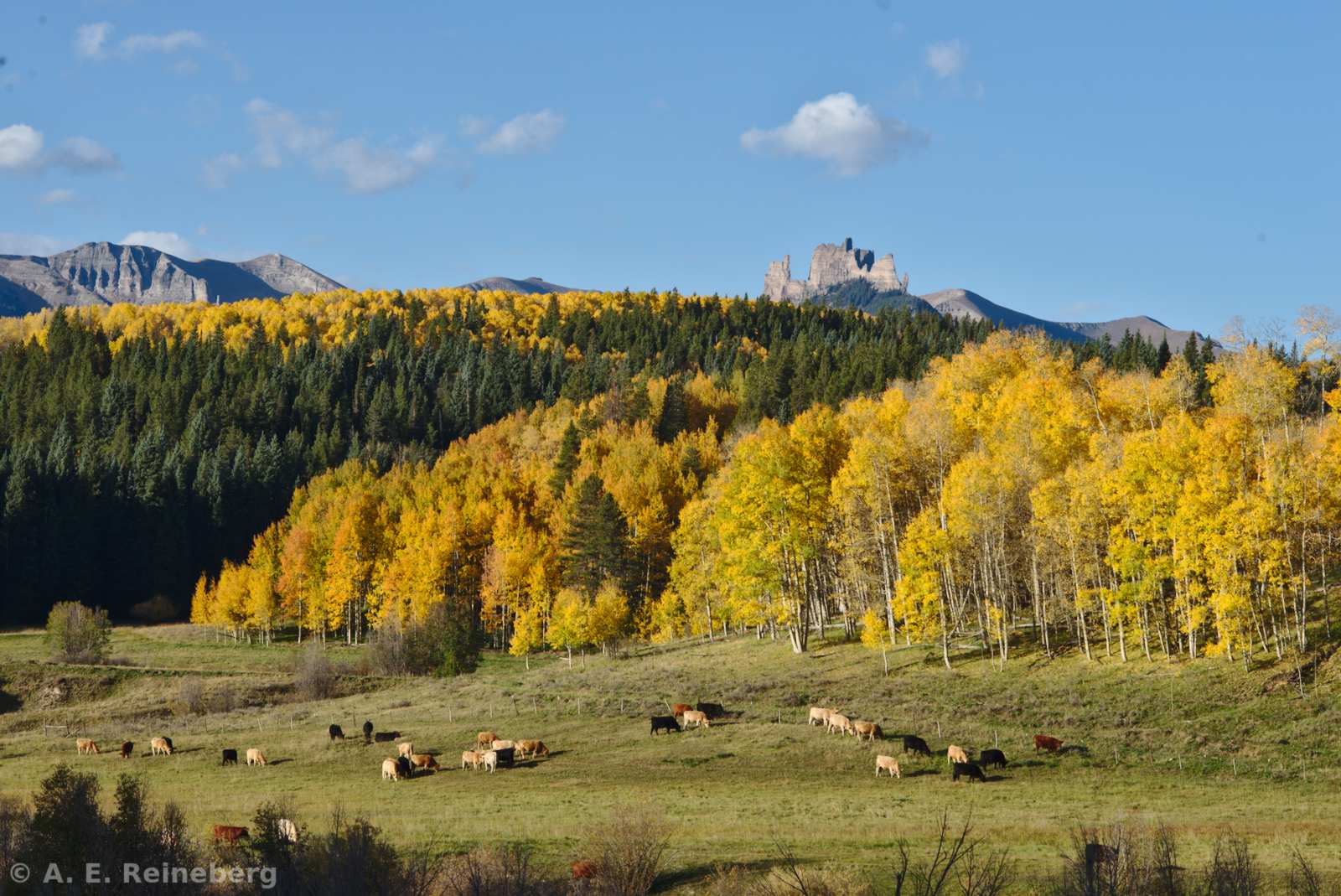 Fall color 2015
