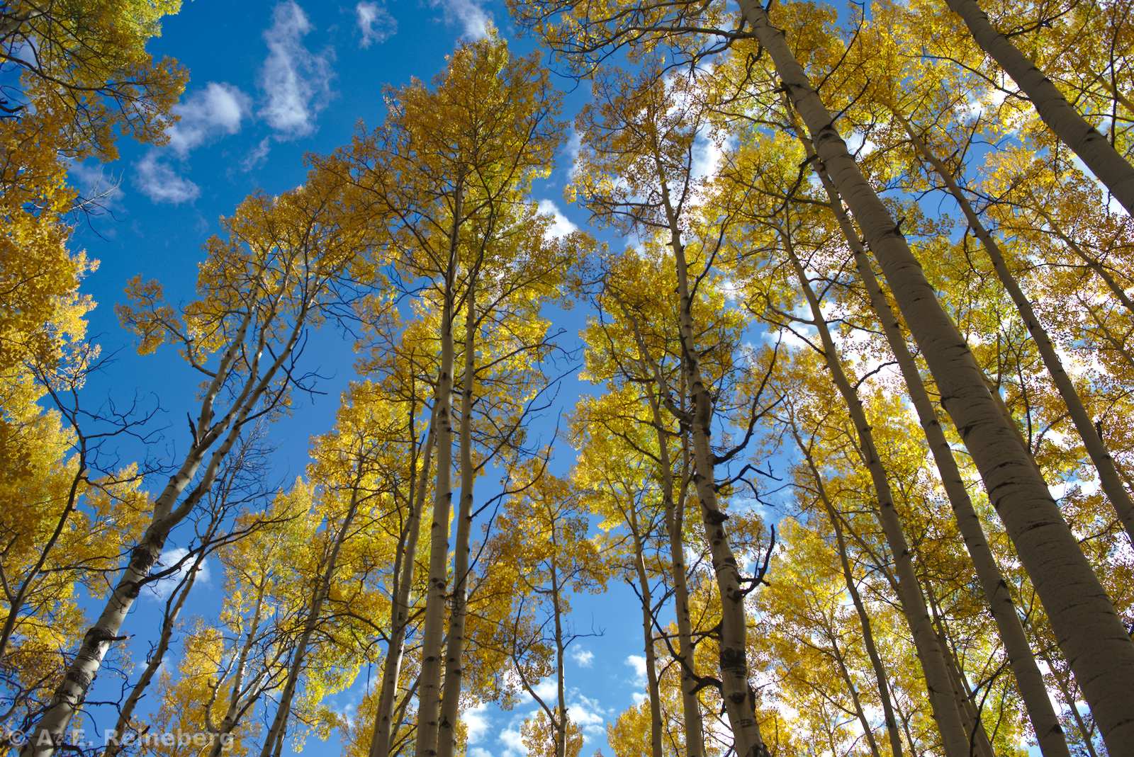 Fall color 2015