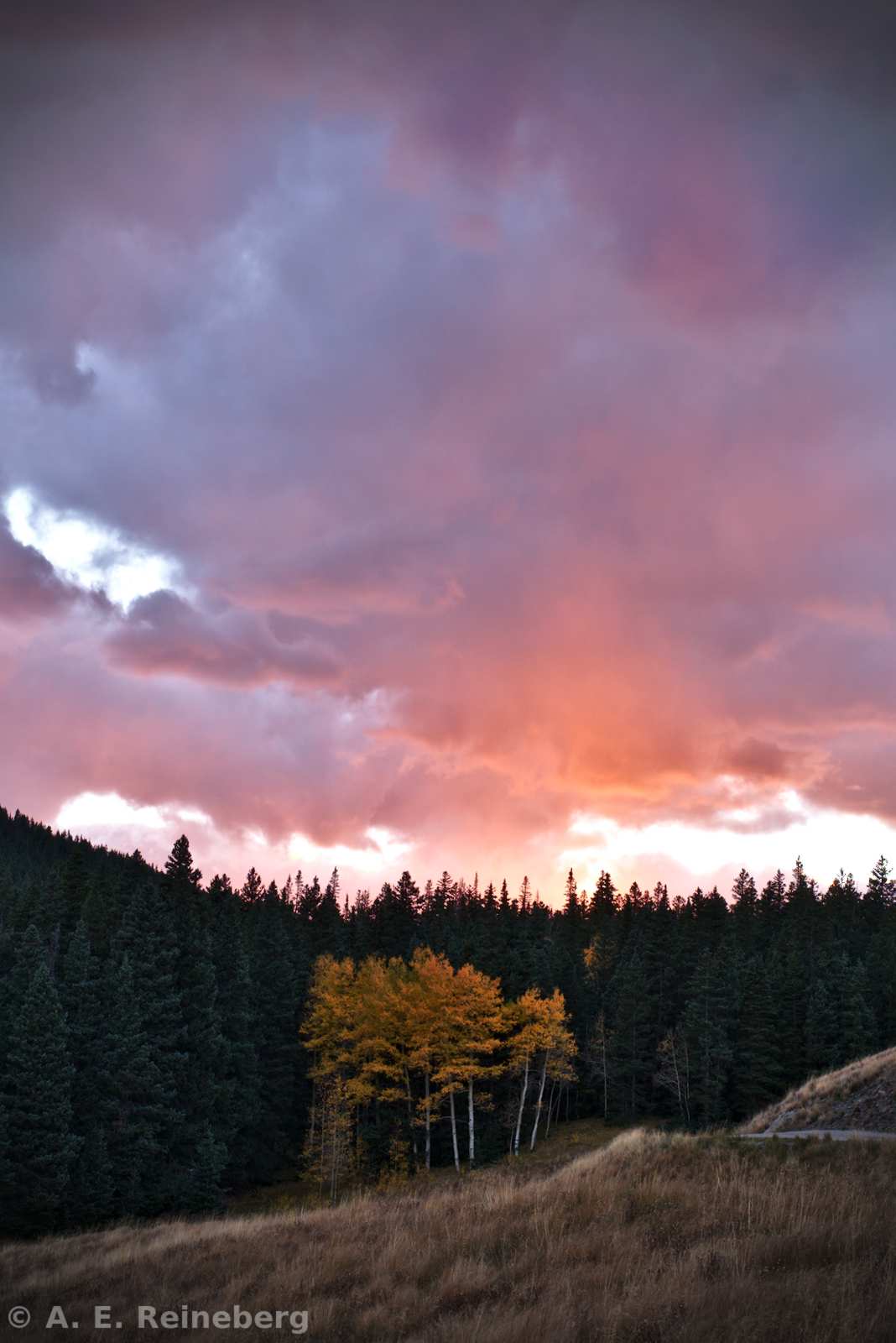Fall color 2015