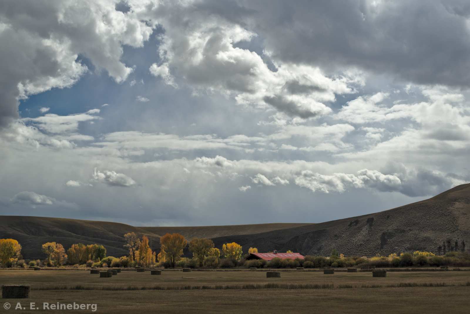 Fall color 2015
