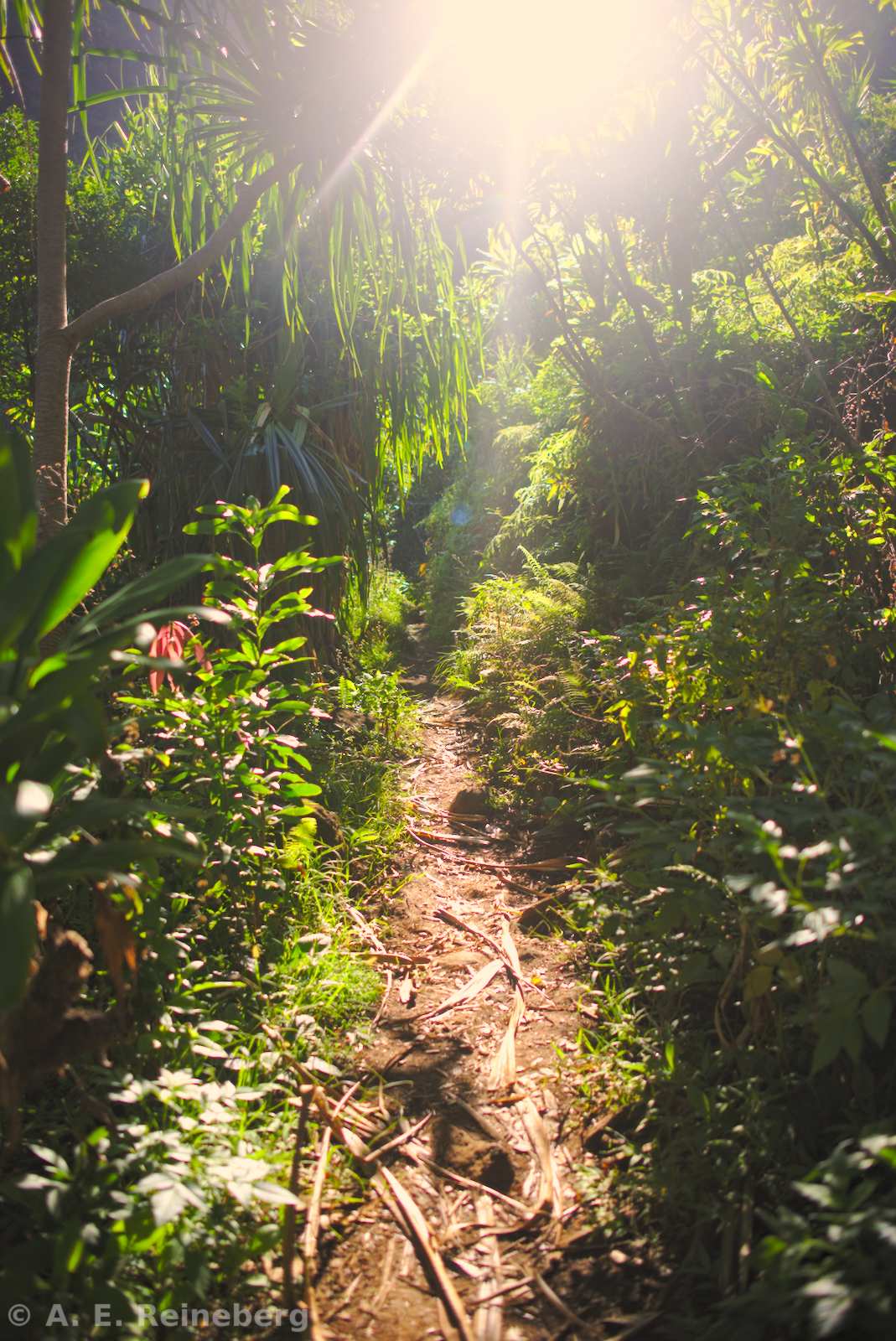 Backpacking the kalalau traiil