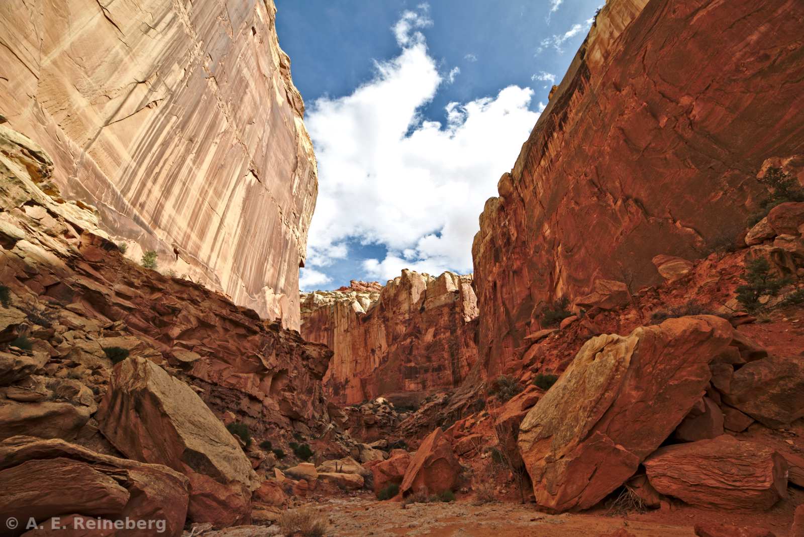 Capitol Reef National Park