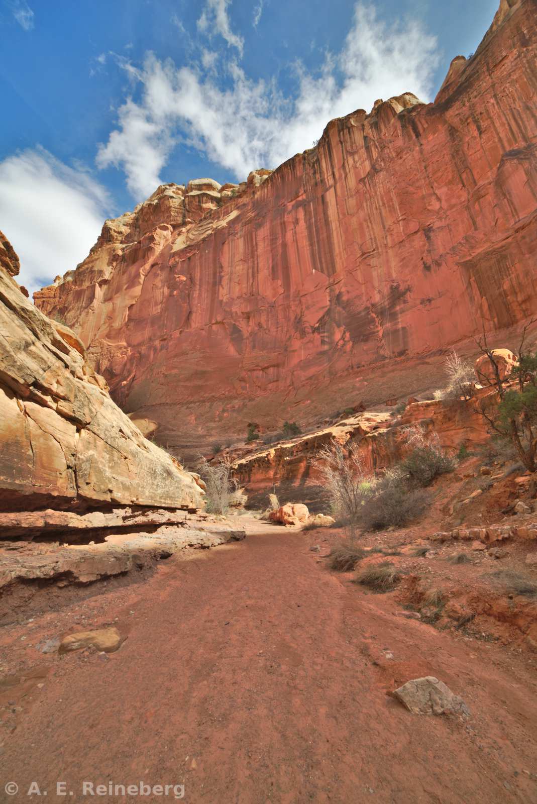 Capitol Reef National Park