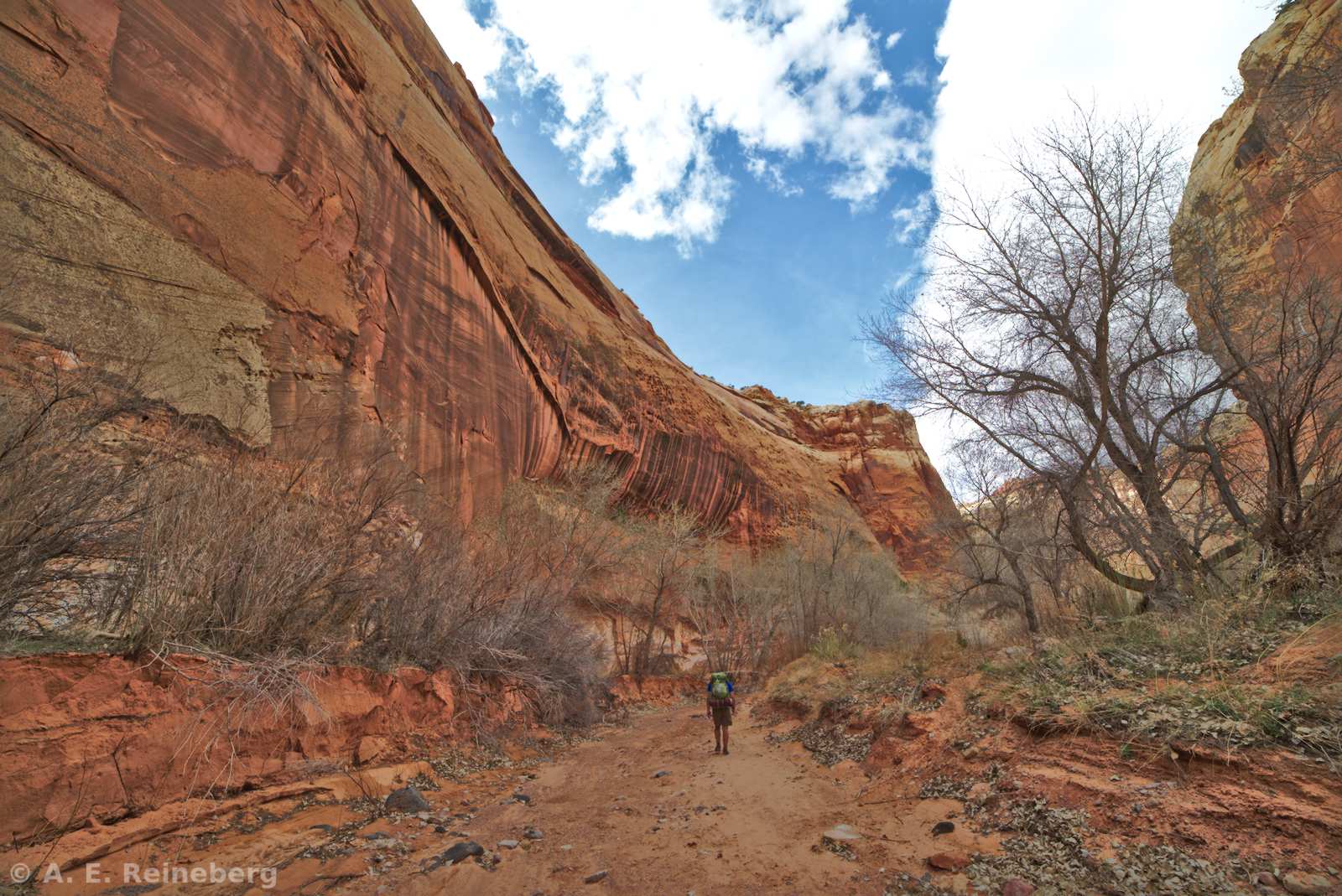 Capitol Reef National Park