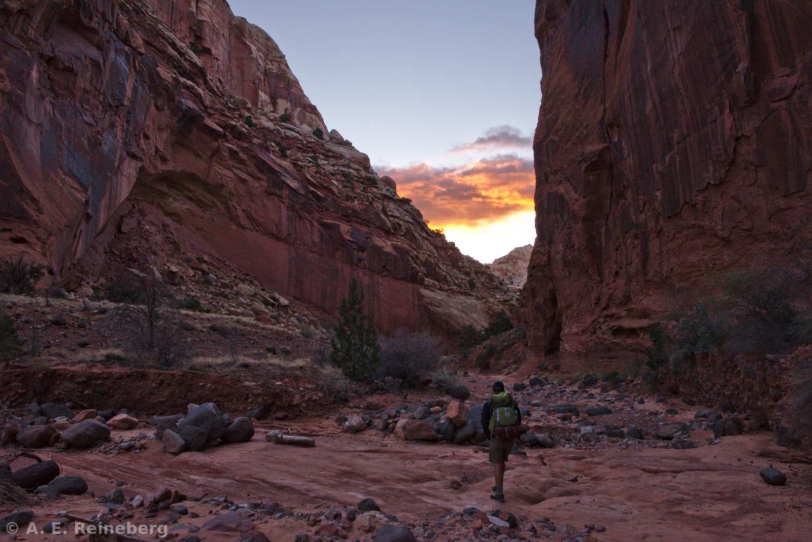 Capitol Reef National Park