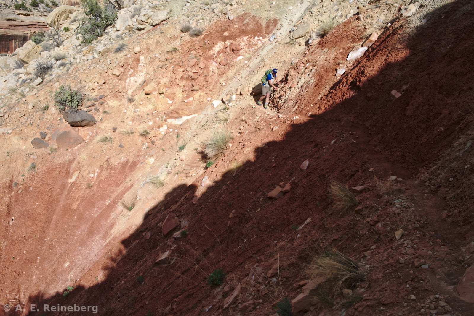 Capitol Reef National Park