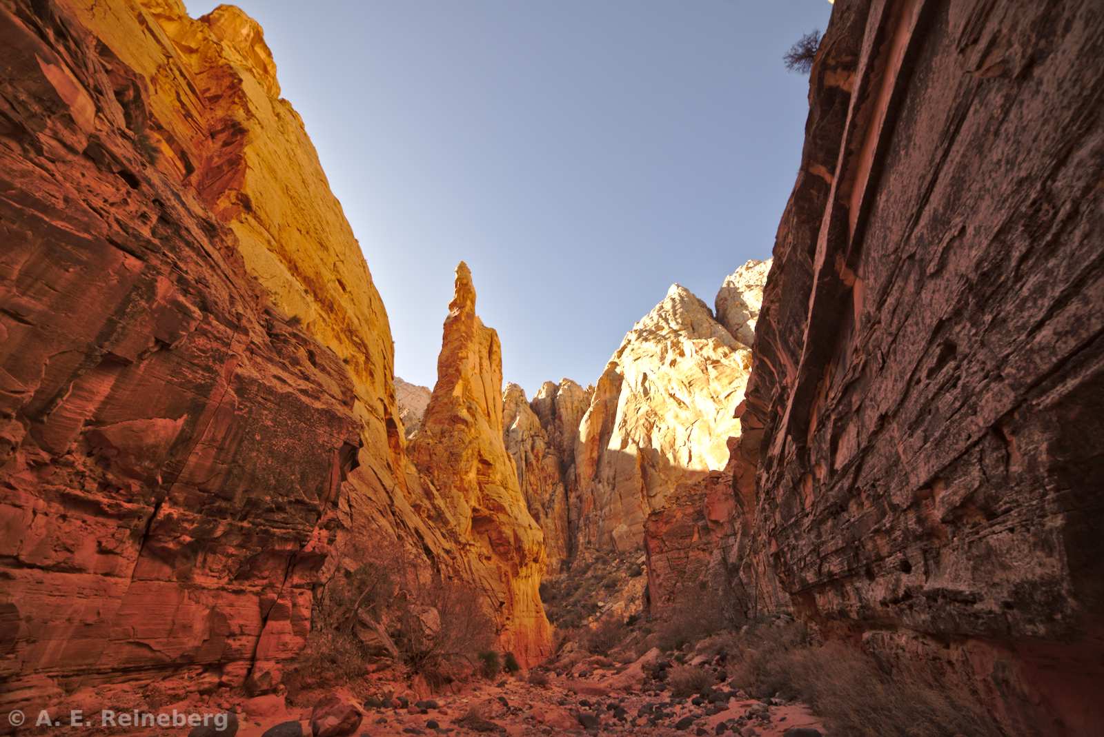 Capitol Reef National Park