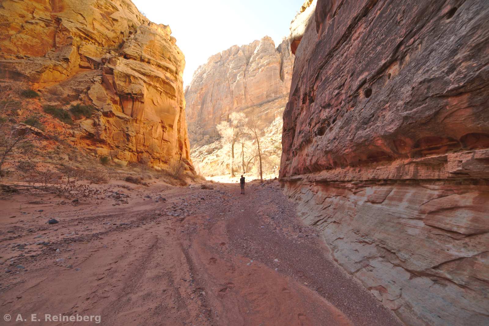 Capitol Reef National Park