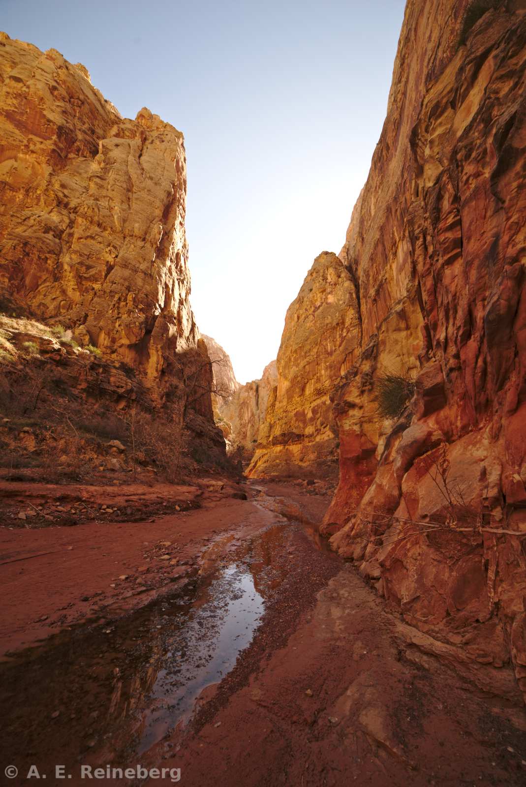 Capitol Reef National Park