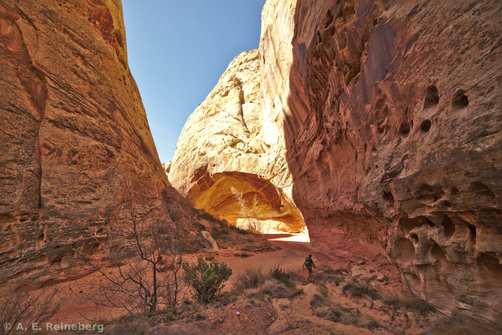 Capitol Reef National Park