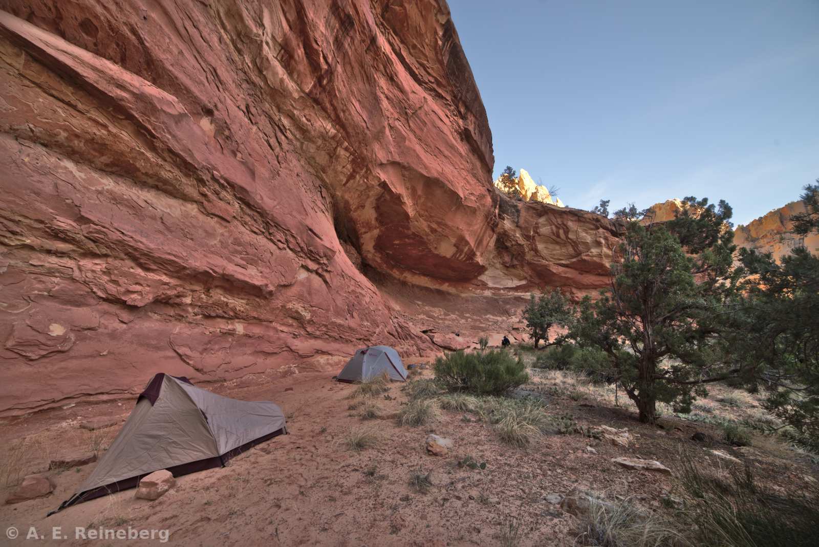 Capitol Reef National Park