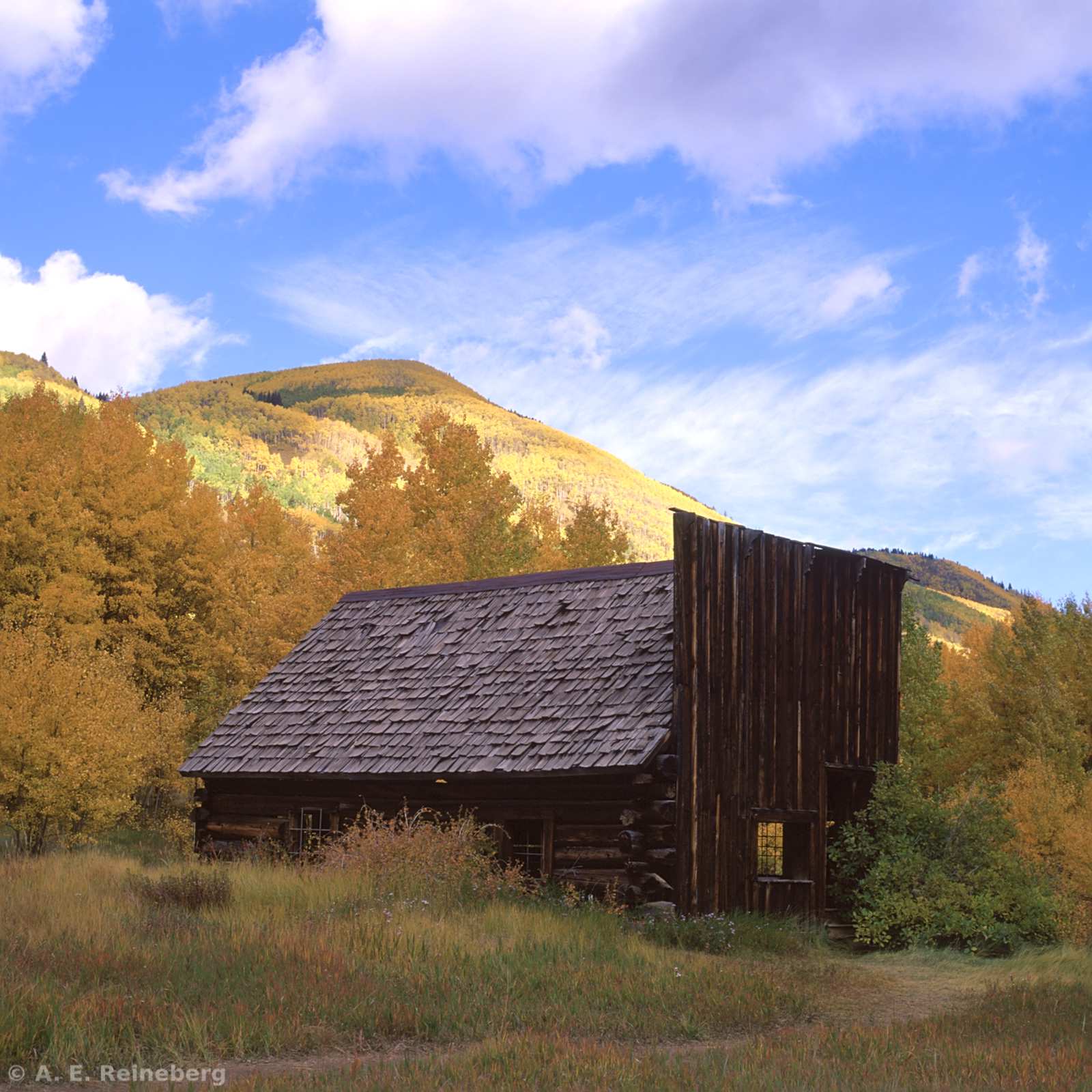 Fall Color 2016 - Aspen and Carbondale