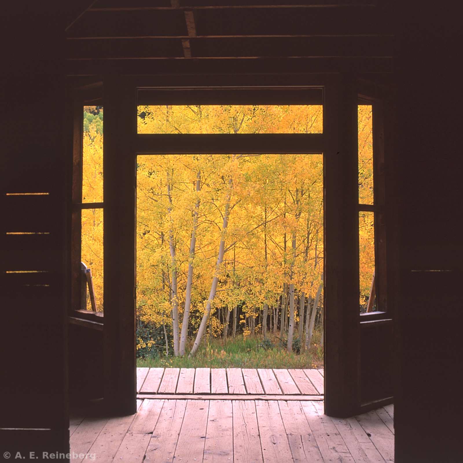 Fall Color 2016 - Aspen and Carbondale