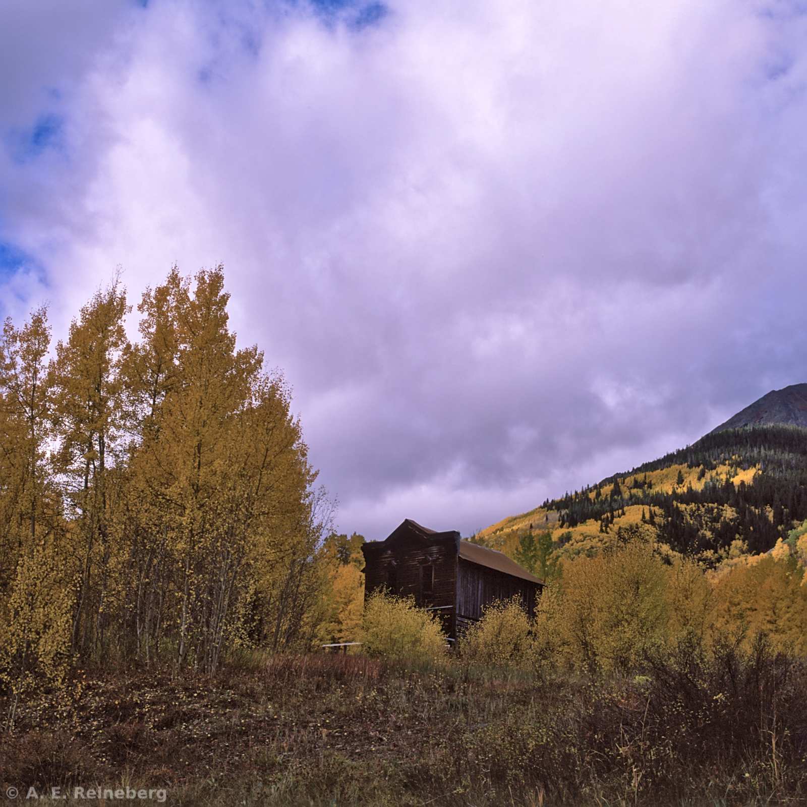 Fall Color 2016 - Aspen and Carbondale