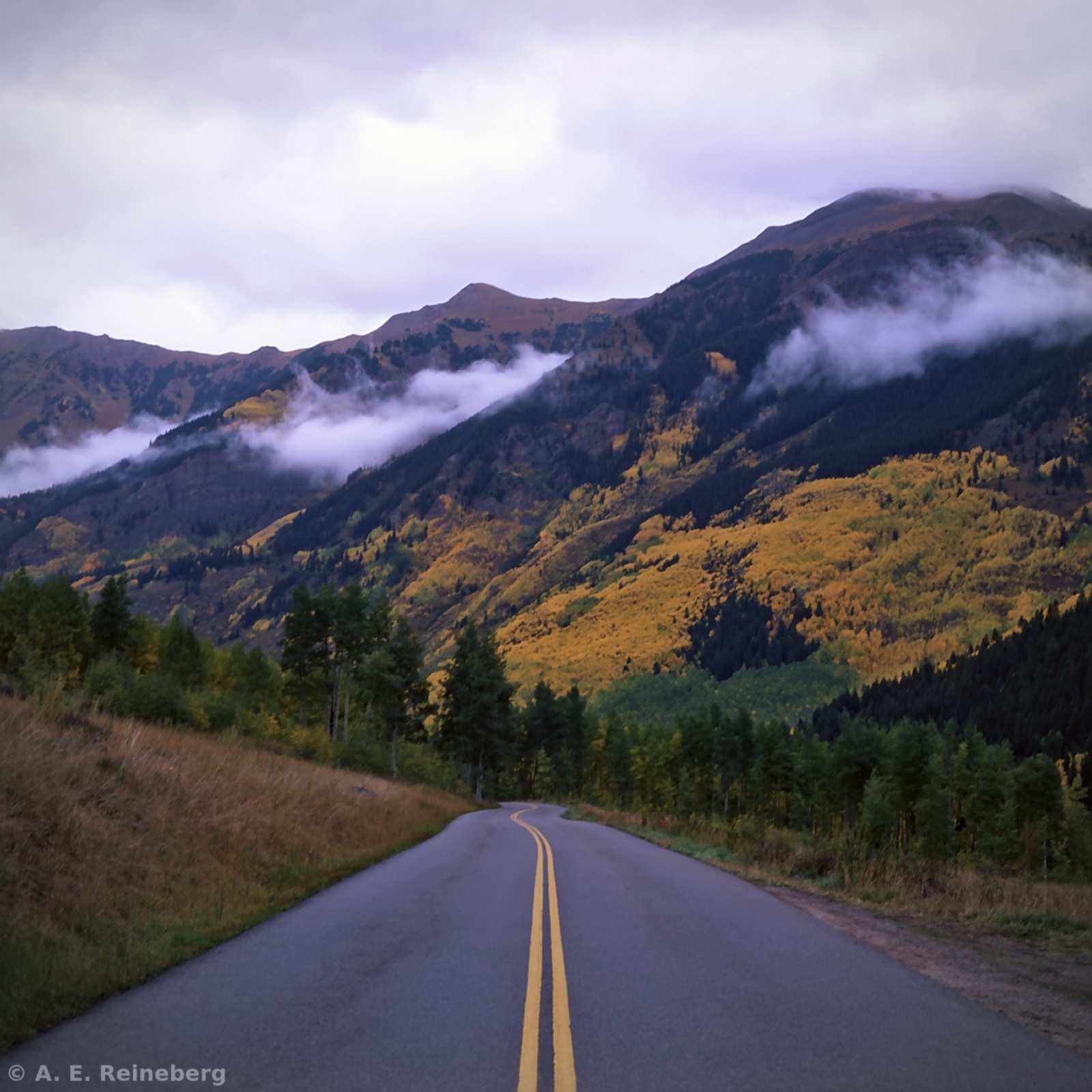 Fall Color 2016 - Aspen and Carbondale