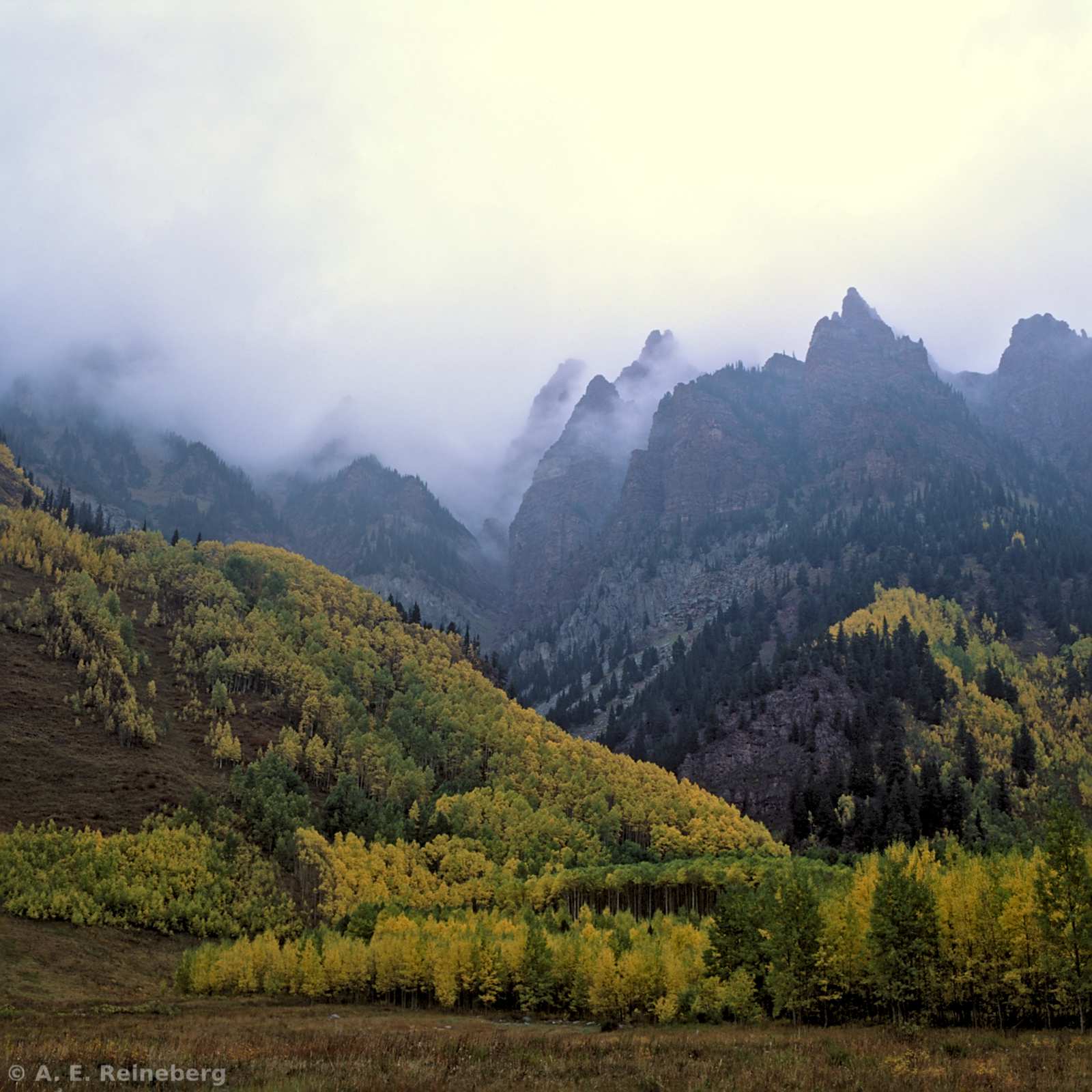 Fall Color 2016 - Aspen and Carbondale