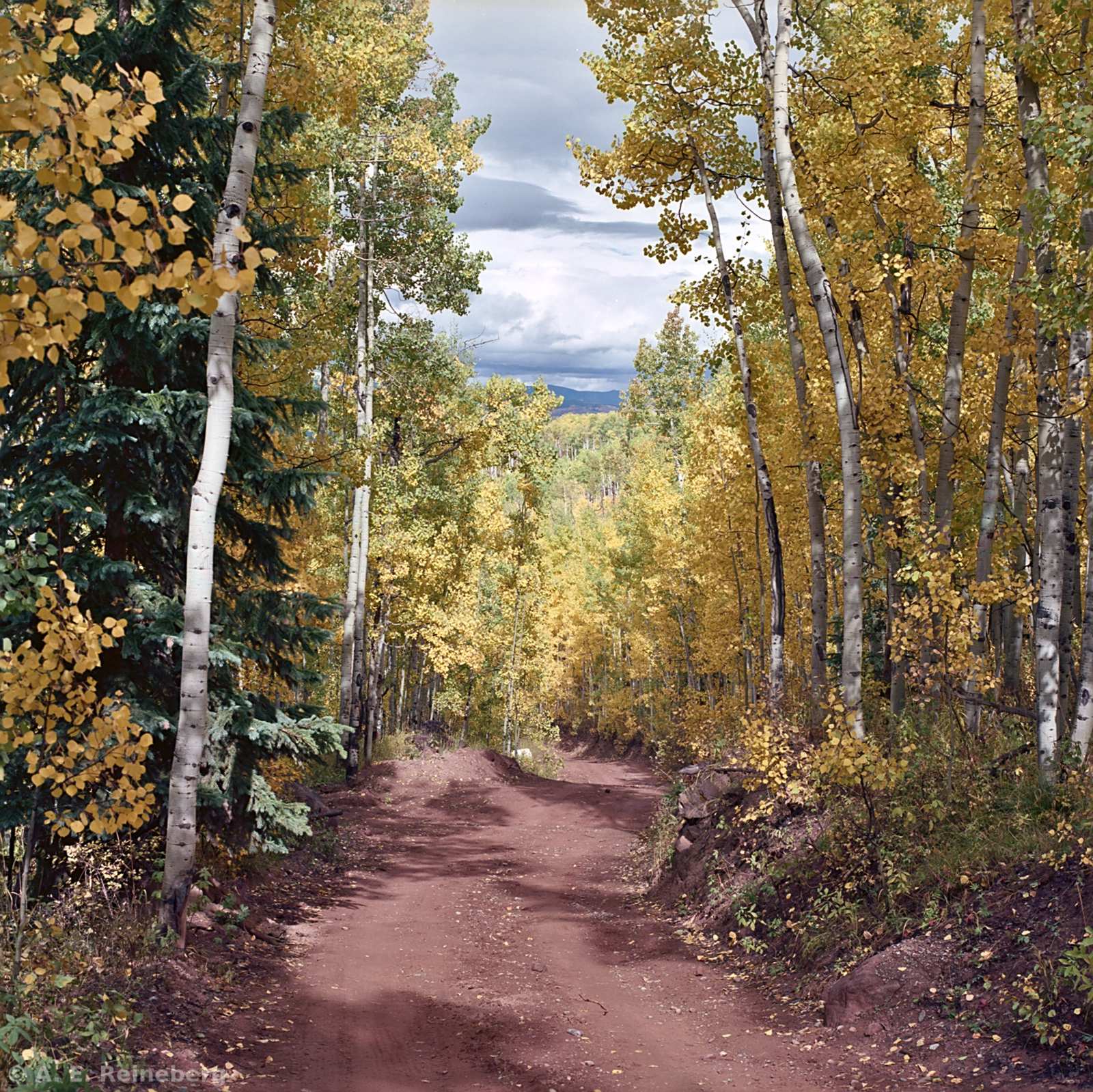 Fall Color 2016 - Aspen and Carbondale