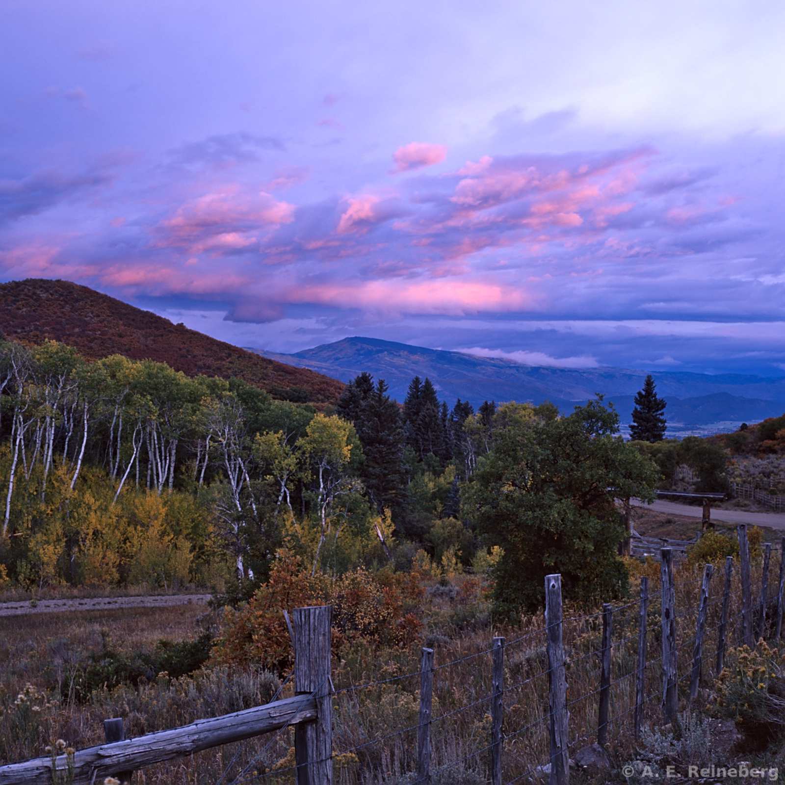 Fall Color 2016 - Aspen and Carbondale