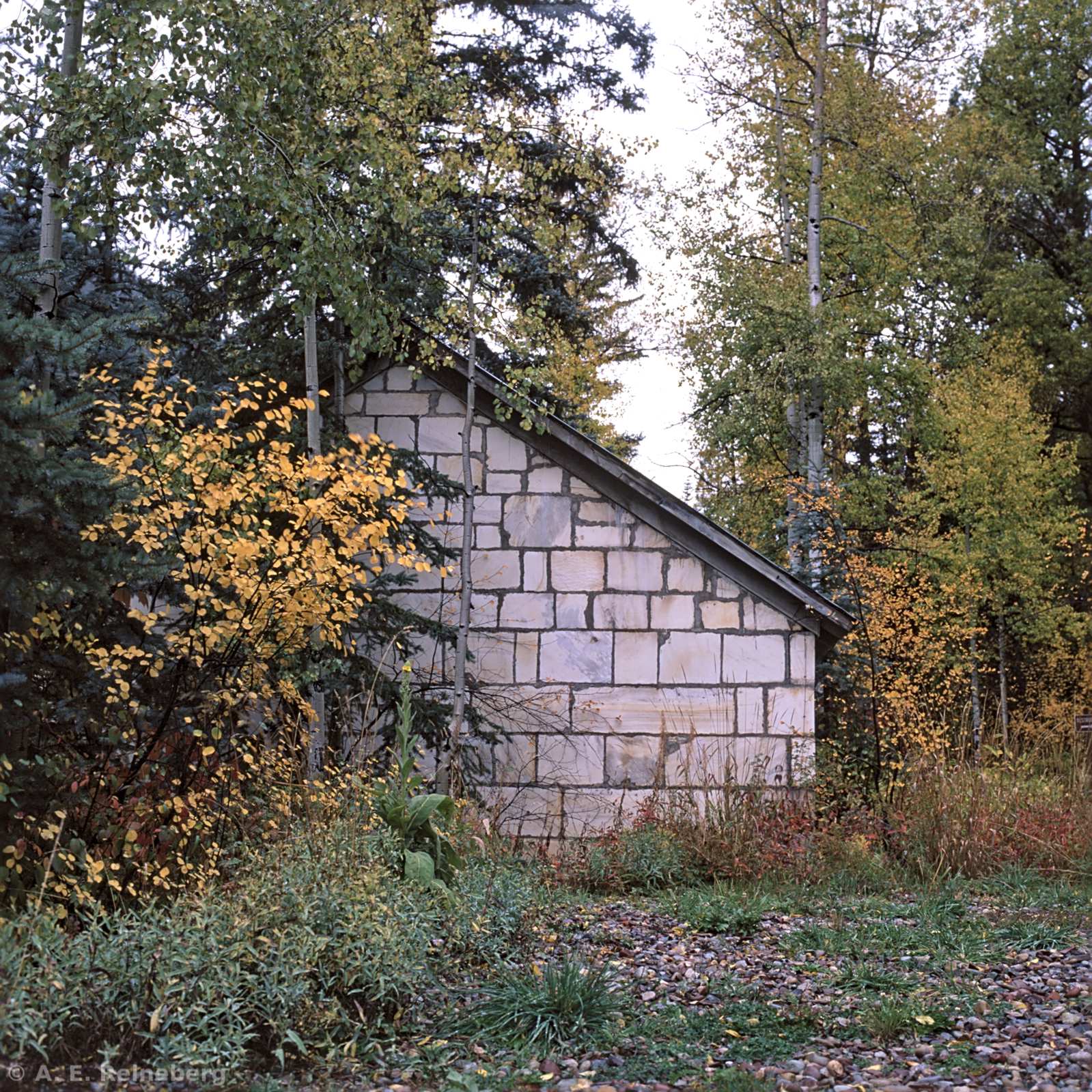 Fall Color 2016 - Marble and Crested Butte