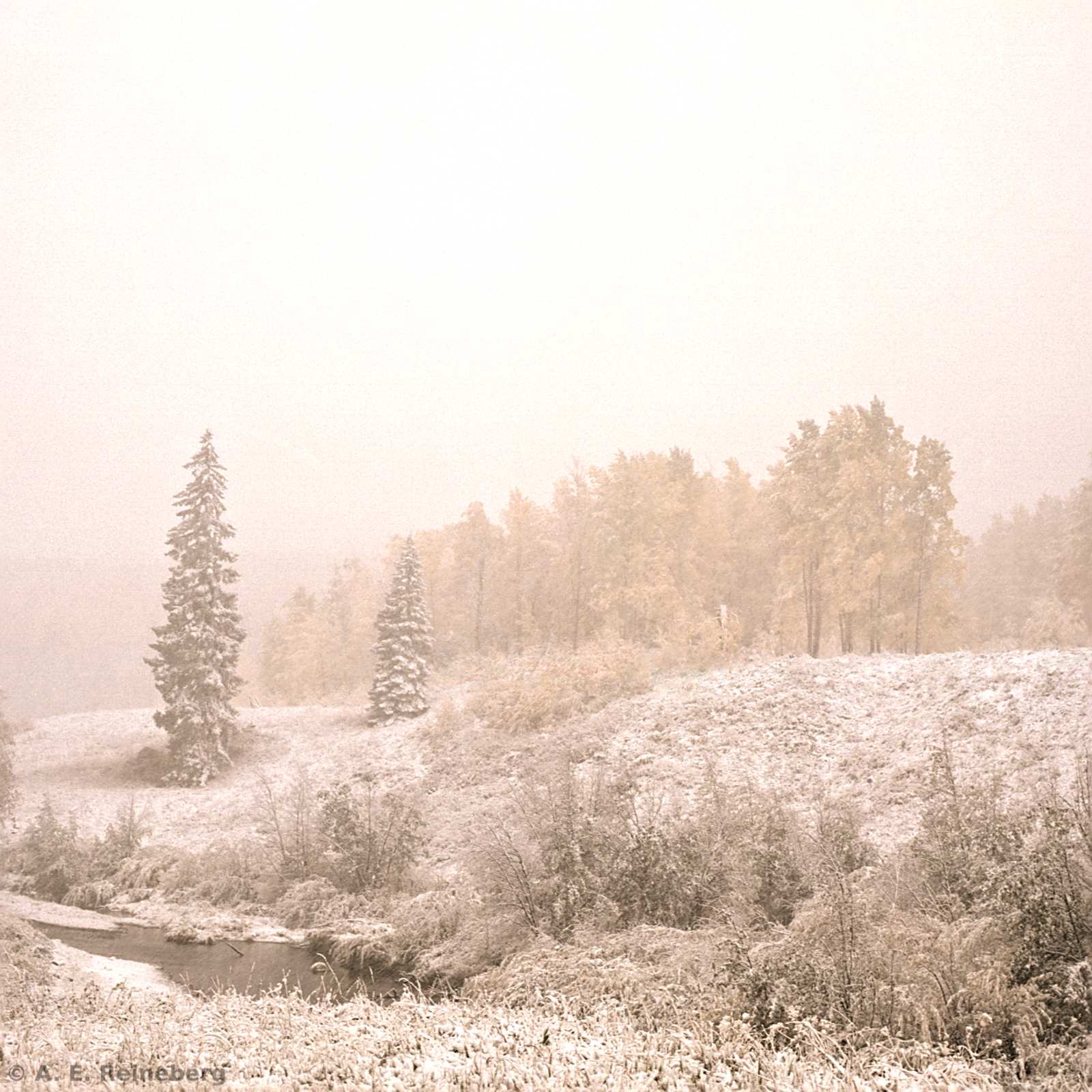 Fall Color 2016 - Marble and Crested Butte