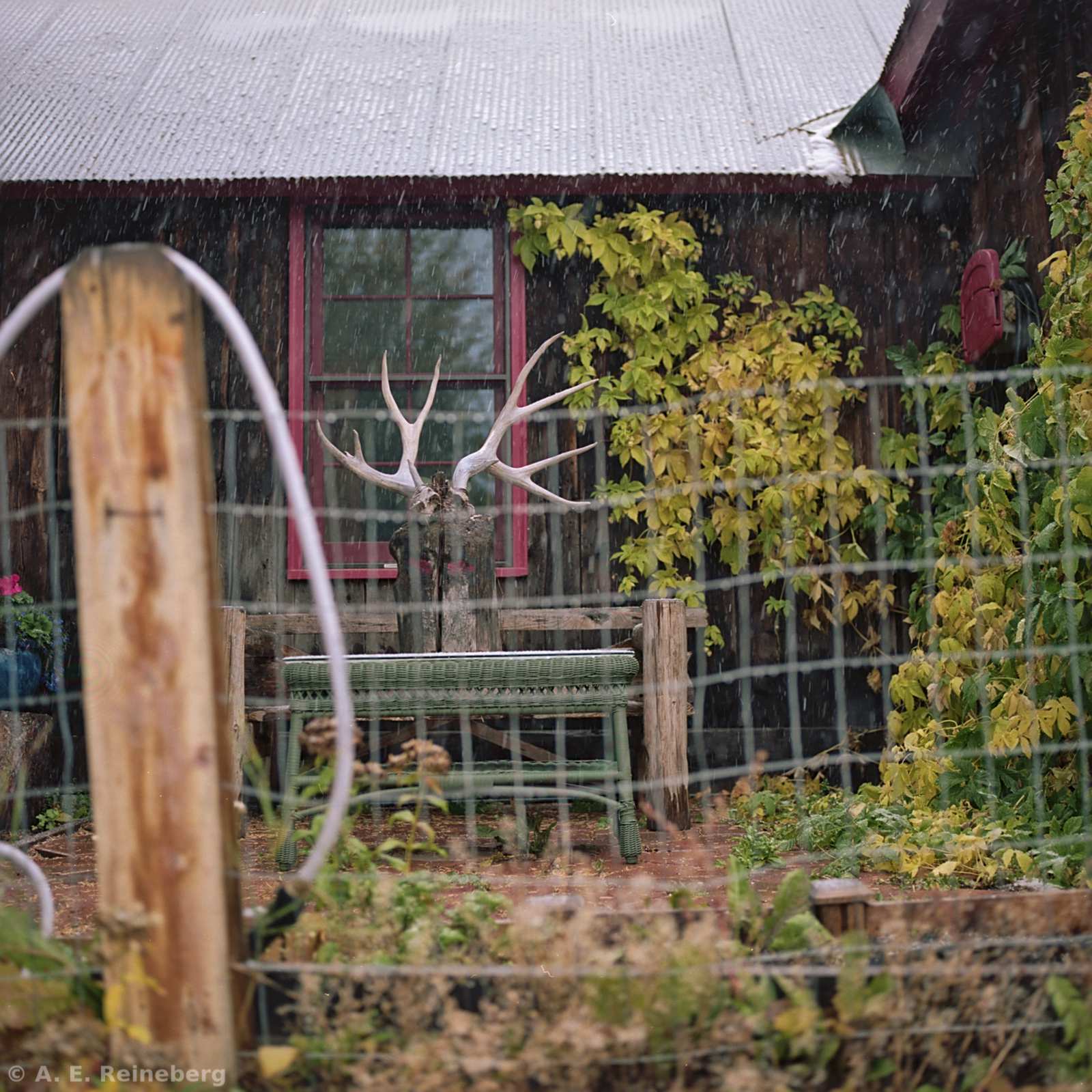 Fall Color 2016 - Marble and Crested Butte