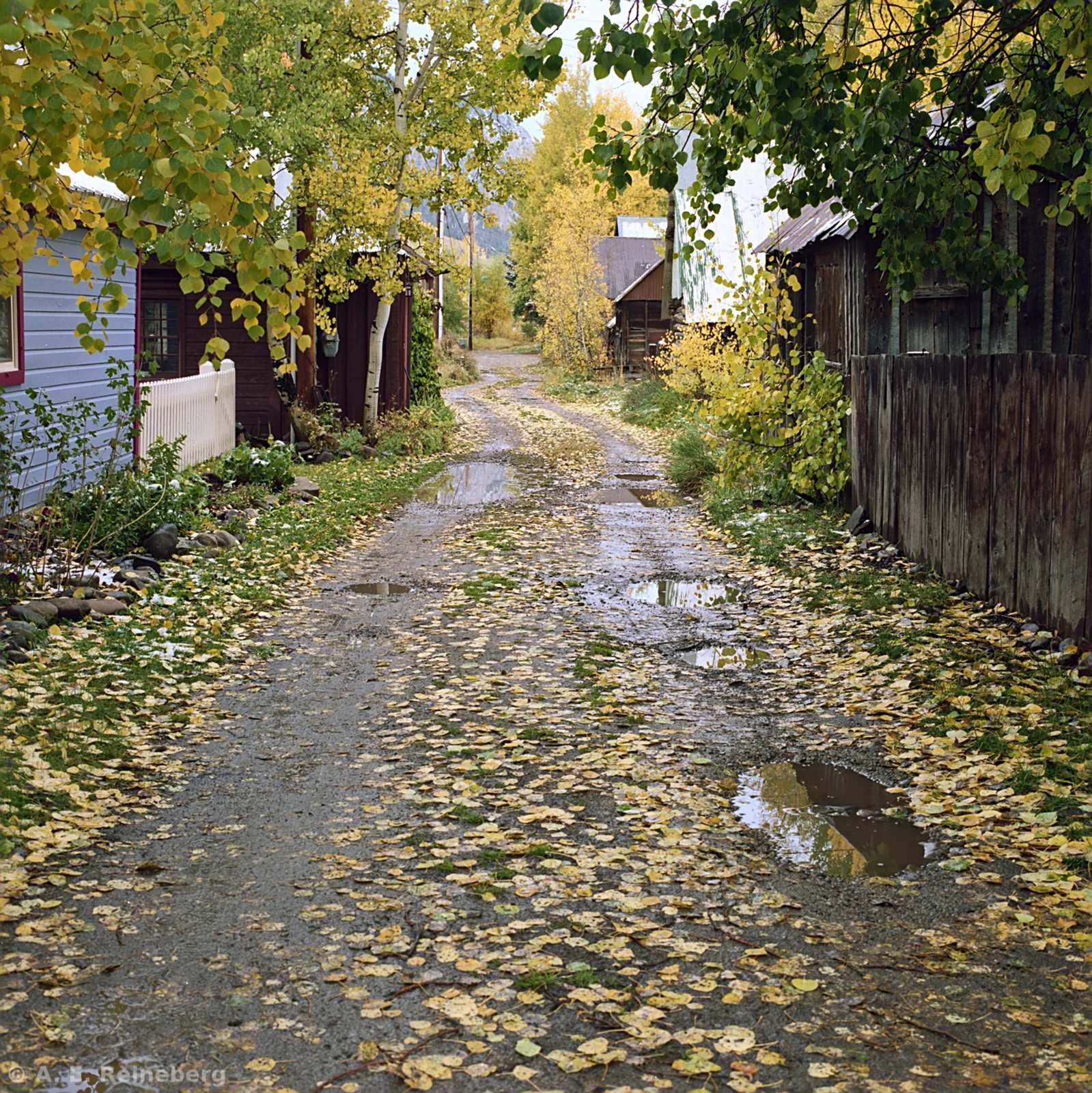 Fall Color 2016 - Marble and Crested Butte
