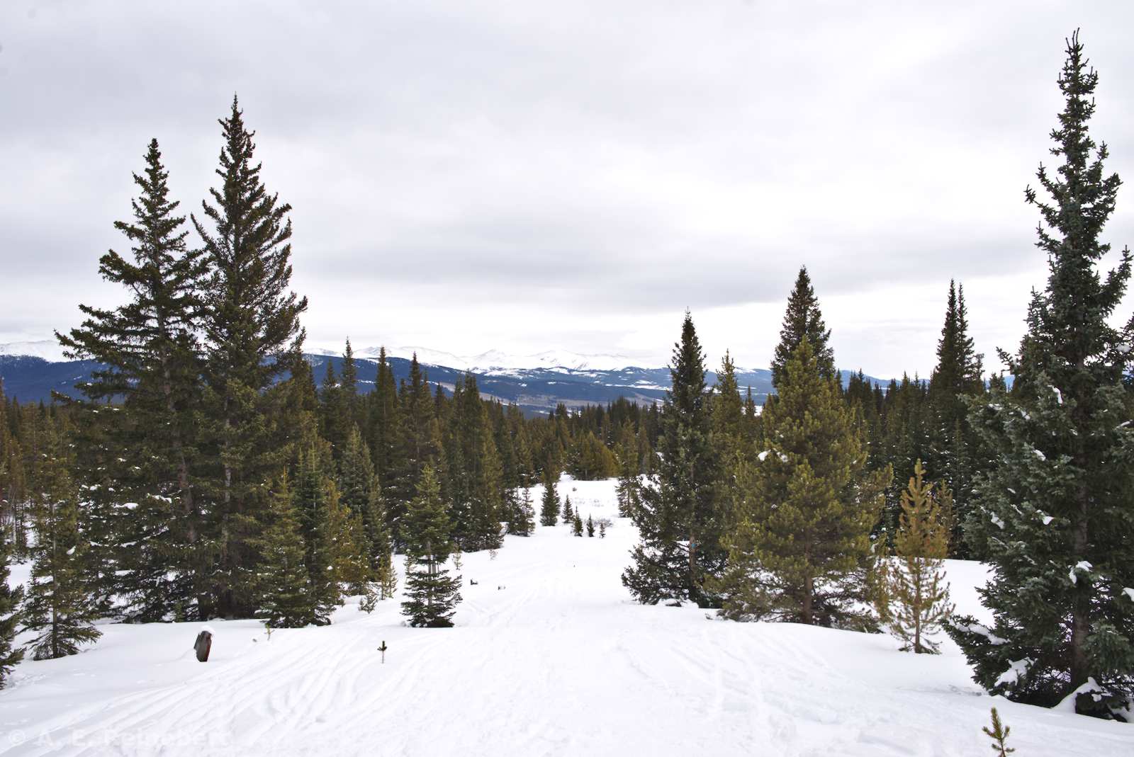 10th Mountain Divison Hut