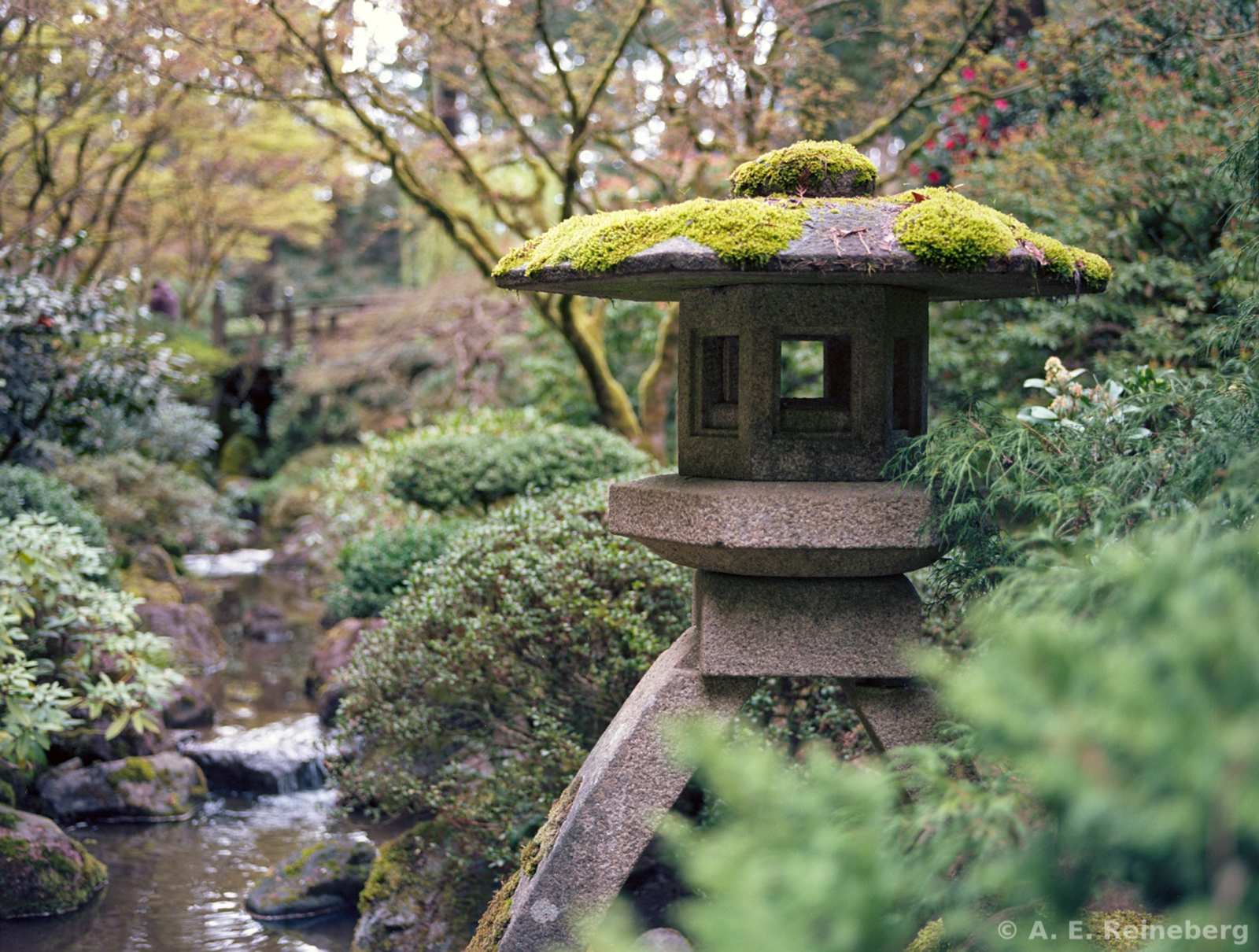 Oregon - Portland Japanese Gardens and other locations