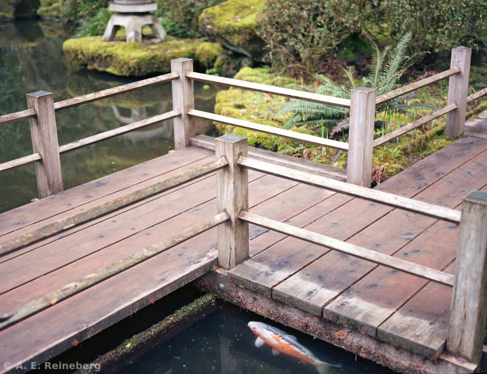 Oregon - Portland Japanese Gardens and other locations