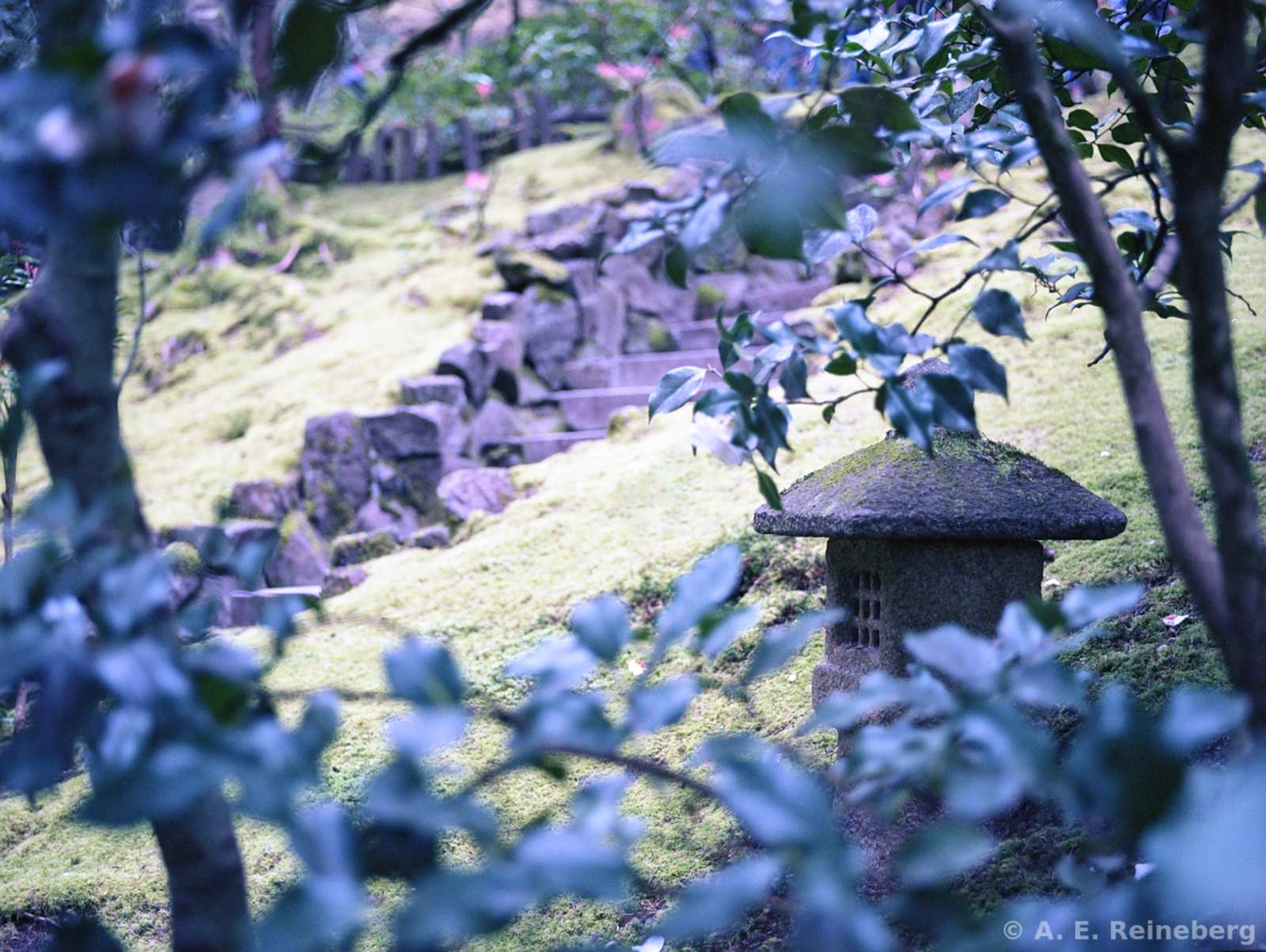 Oregon - Portland Japanese Gardens and other locations