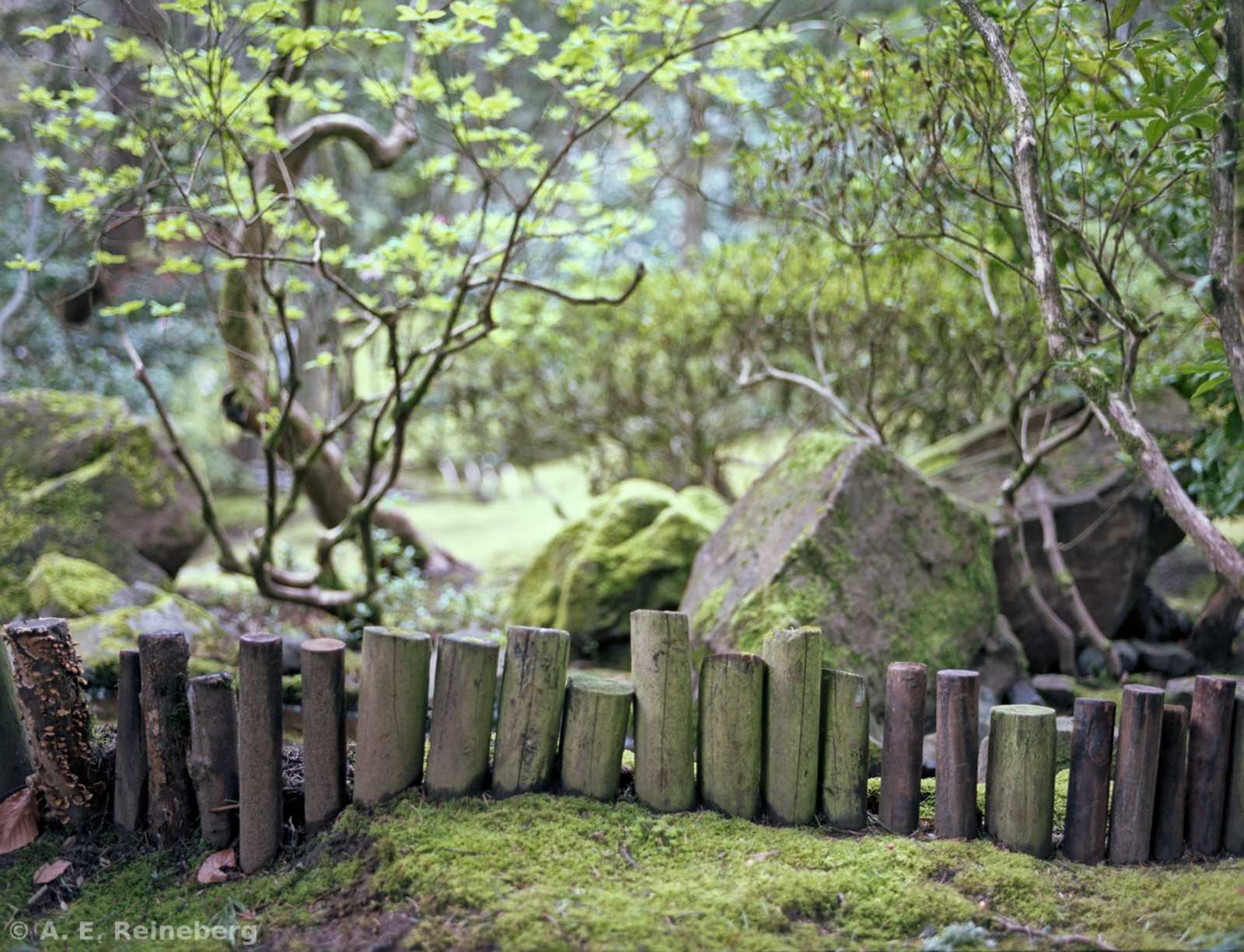 Oregon - Portland Japanese Gardens and other locations