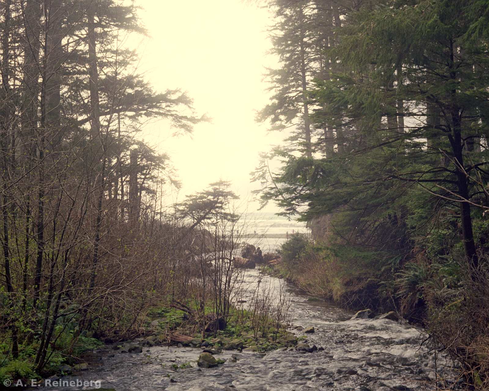 Oregon - Portland Japanese Gardens and other locations