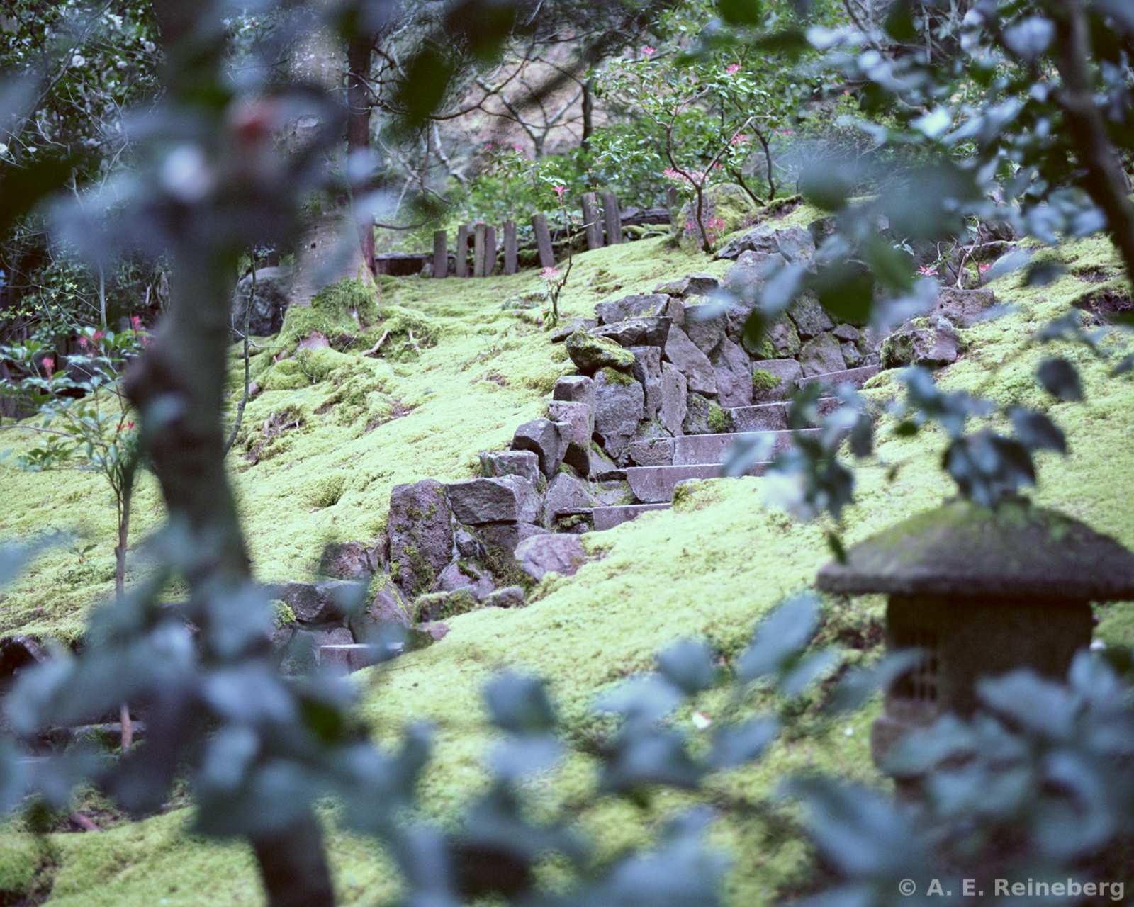 Oregon - Portland Japanese Gardens and other locations