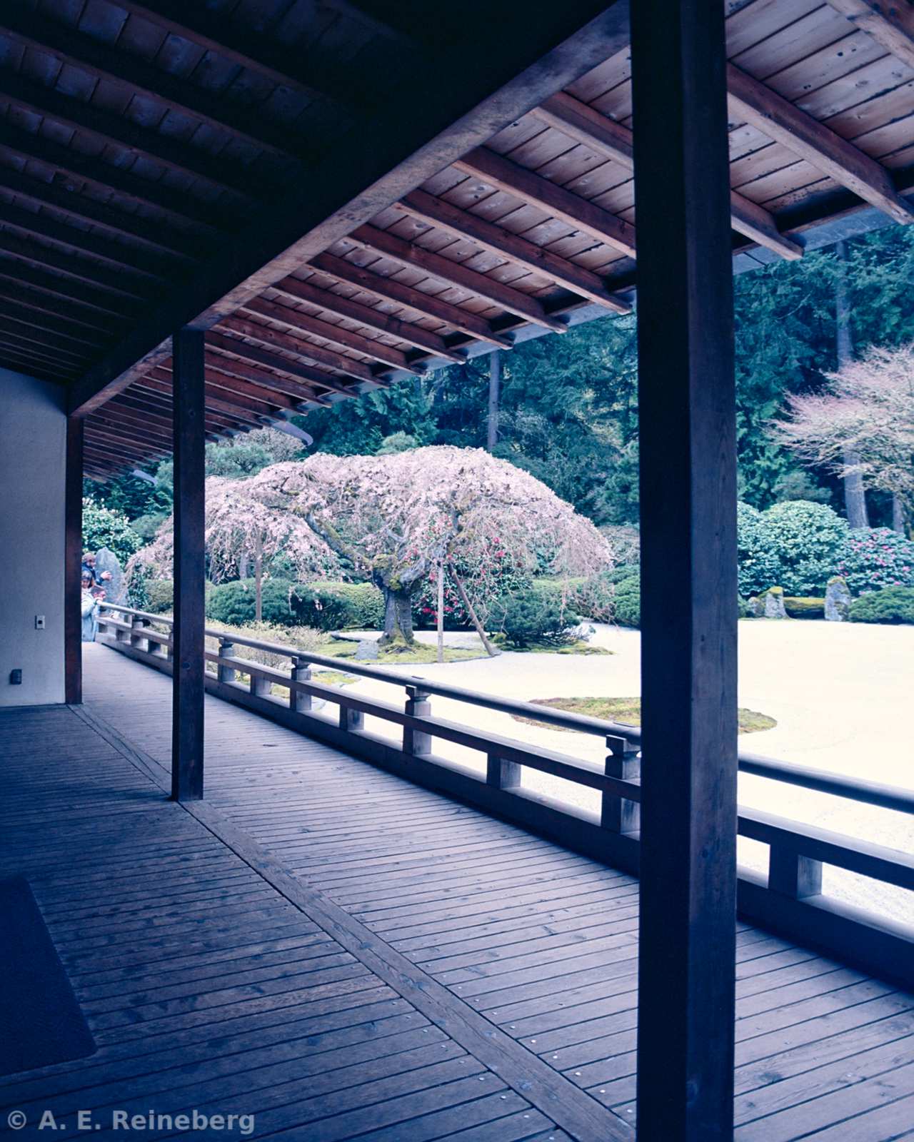 Oregon - Portland Japanese Gardens and other locations