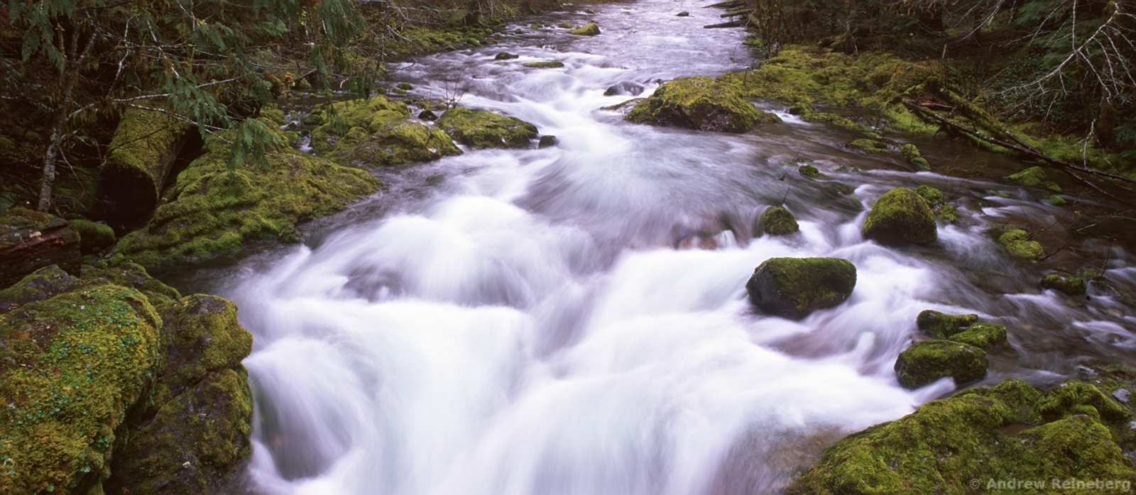 Oregon panoramas