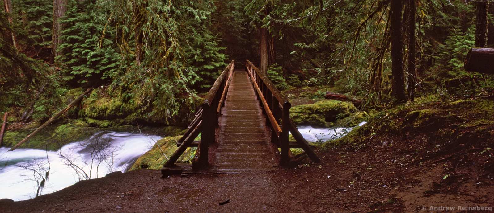 Oregon panoramas