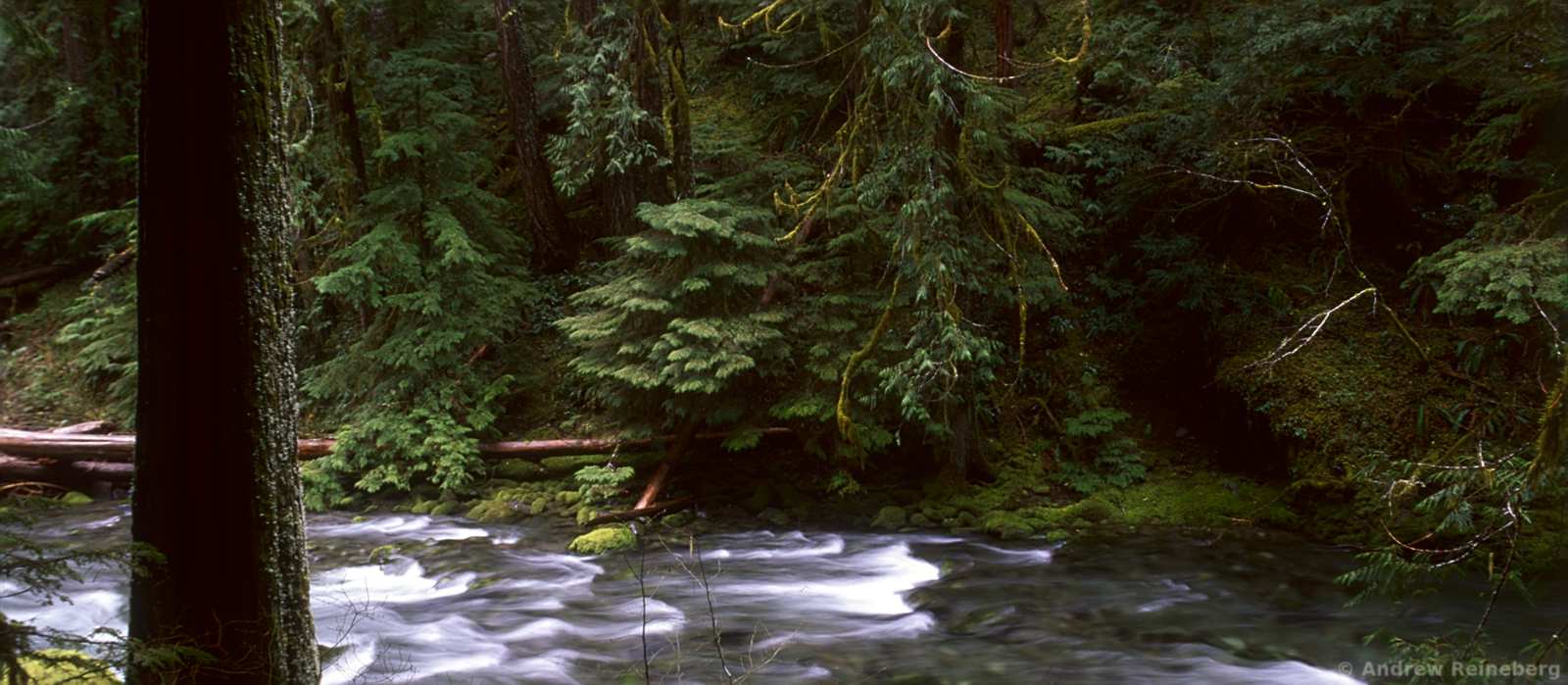 Oregon panoramas