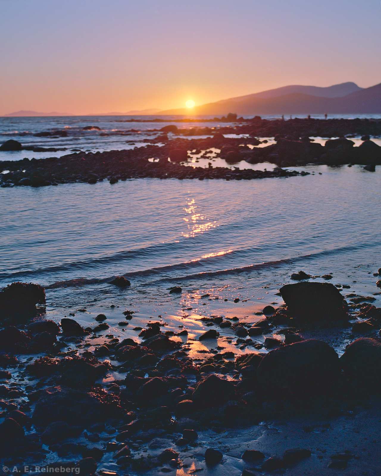 Exploring Vancouver and Surrounding Islands