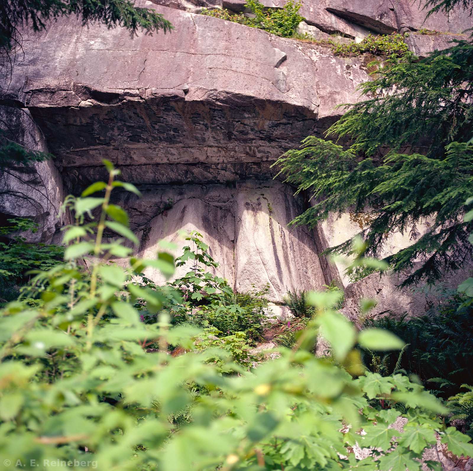 Exploring Vancouver and Surrounding Islands