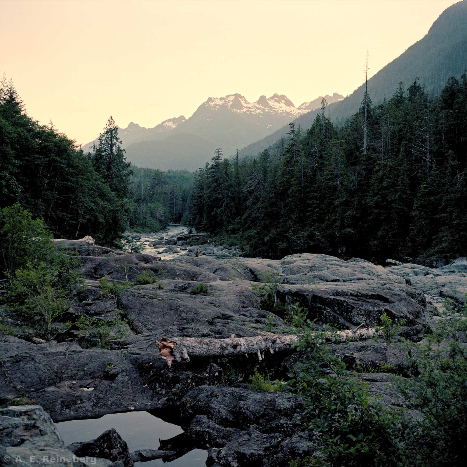 Exploring Vancouver and Surrounding Islands