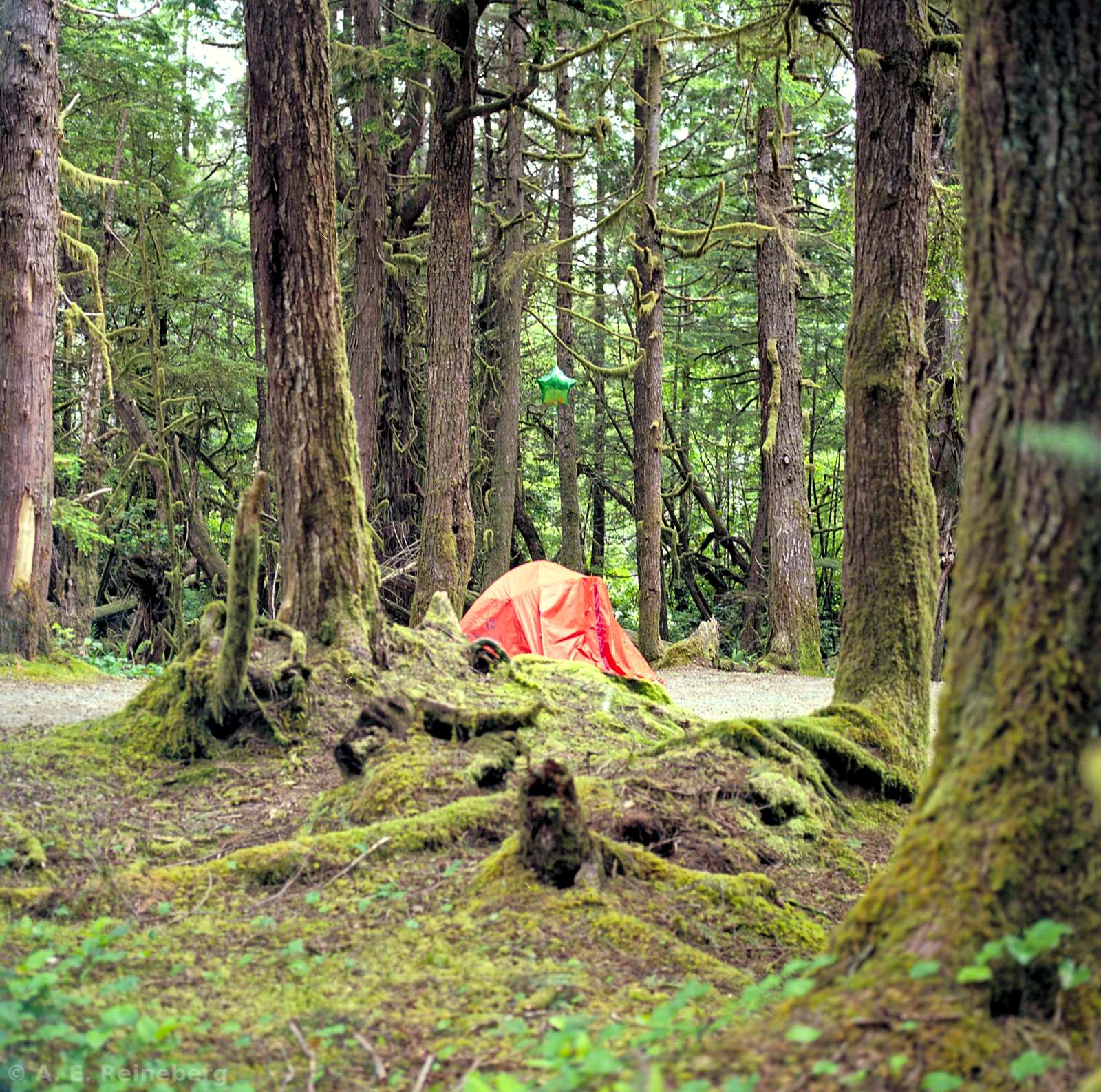 Exploring Vancouver and Surrounding Islands