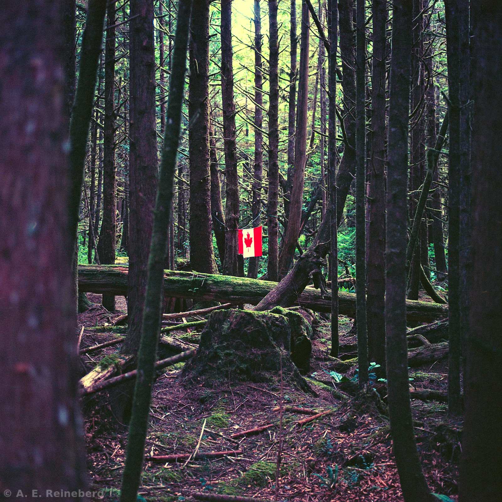 Exploring Vancouver and Surrounding Islands