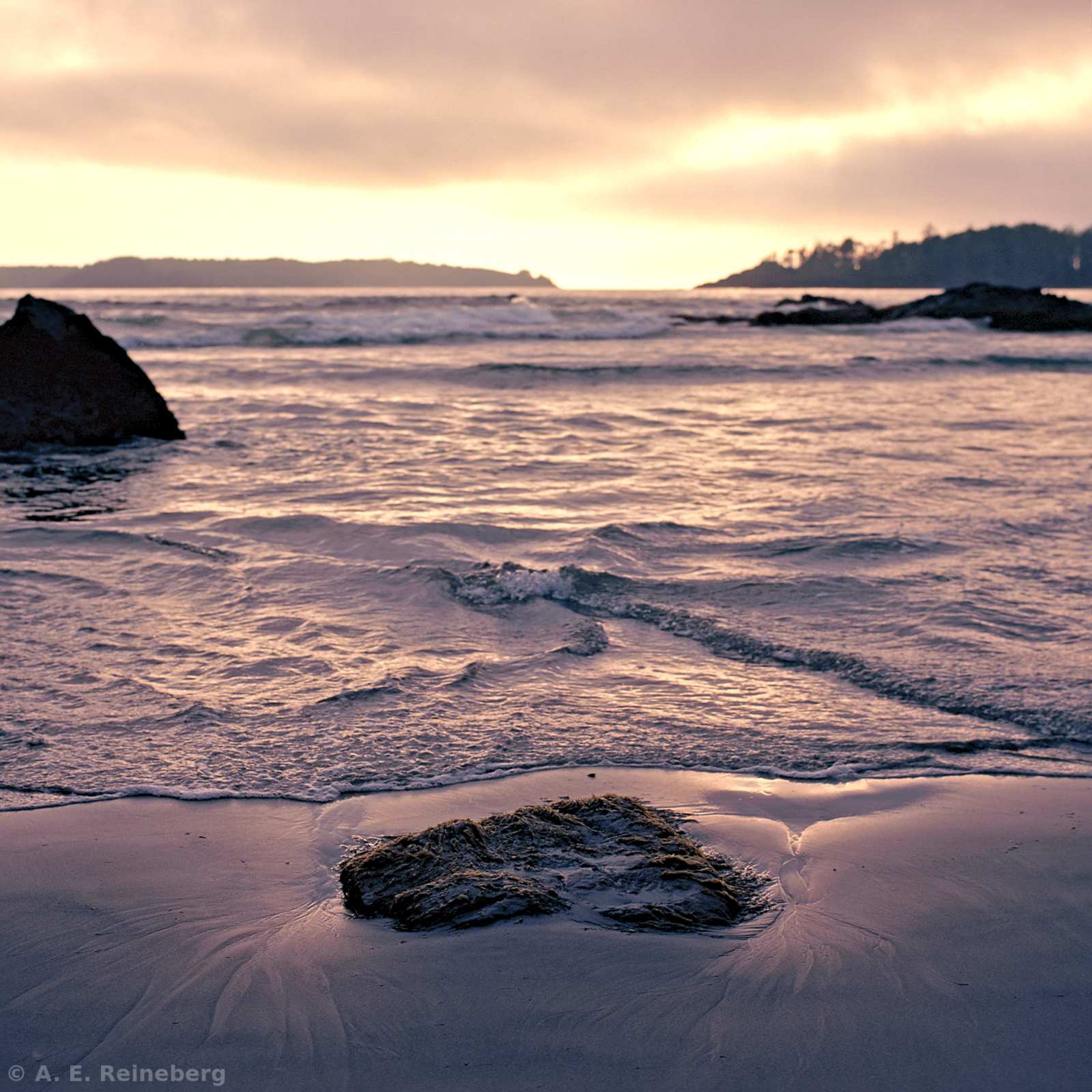 Exploring Vancouver and Surrounding Islands