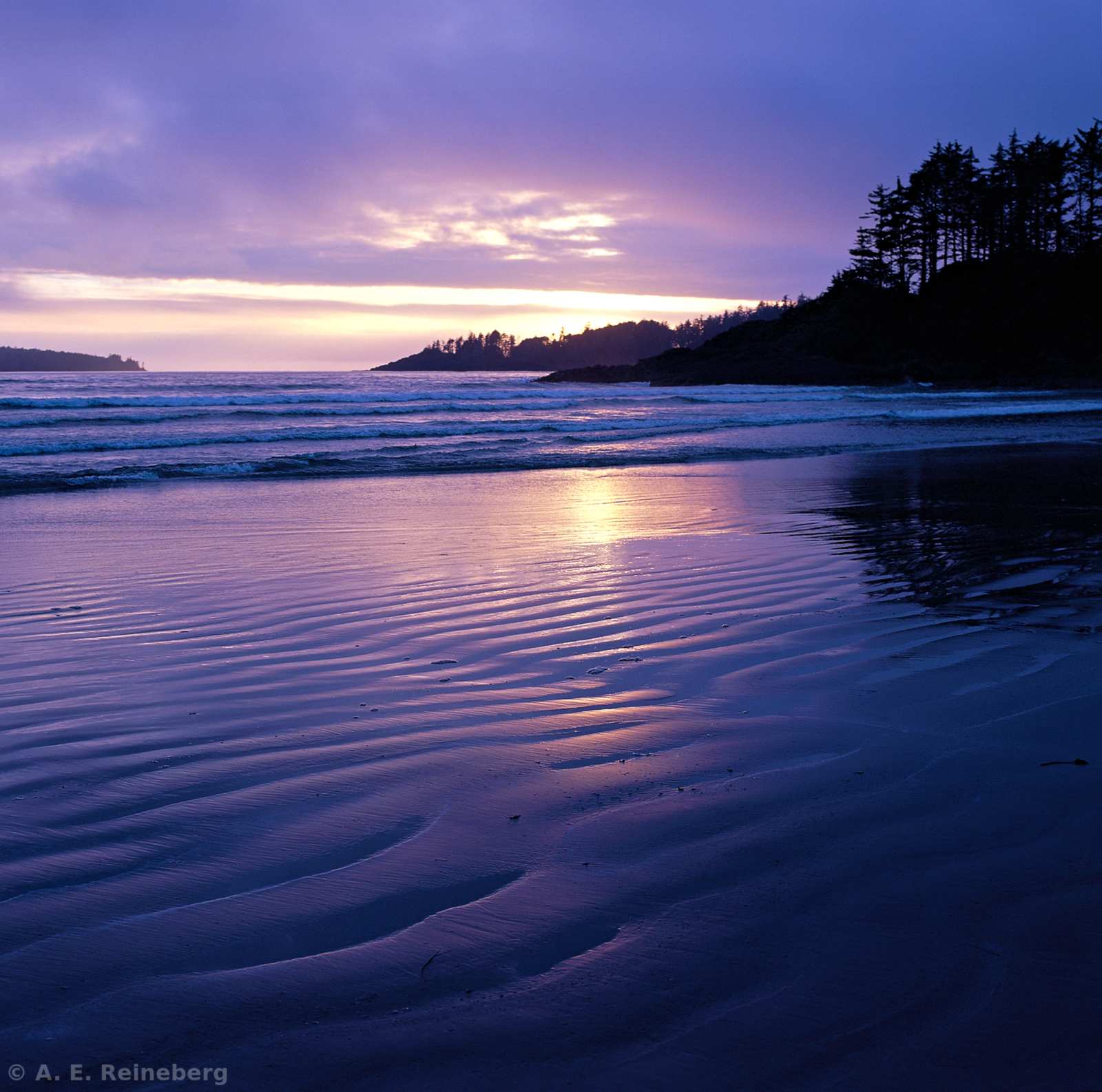 Exploring Vancouver and Surrounding Islands
