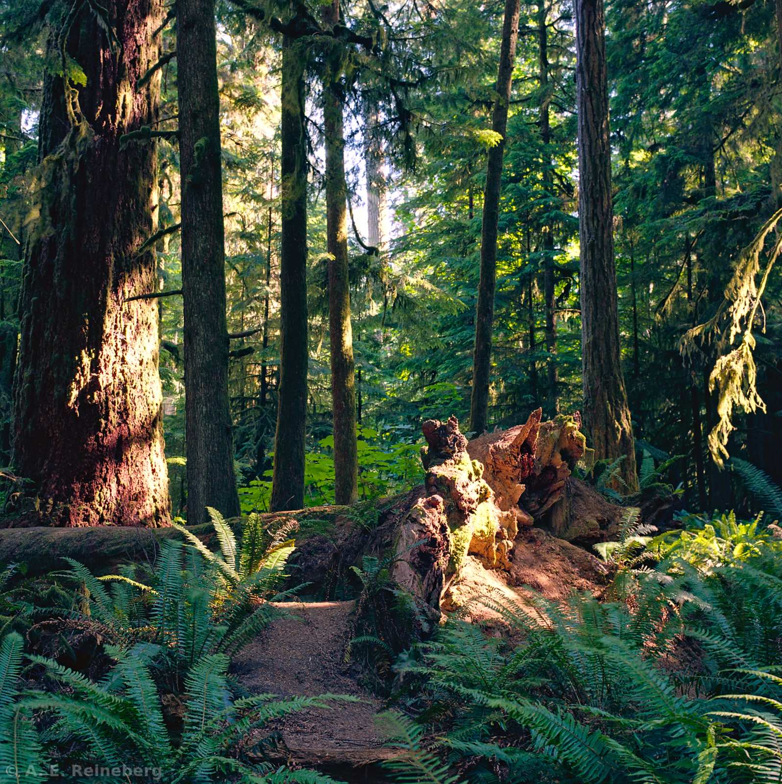 Exploring Vancouver and Surrounding Islands
